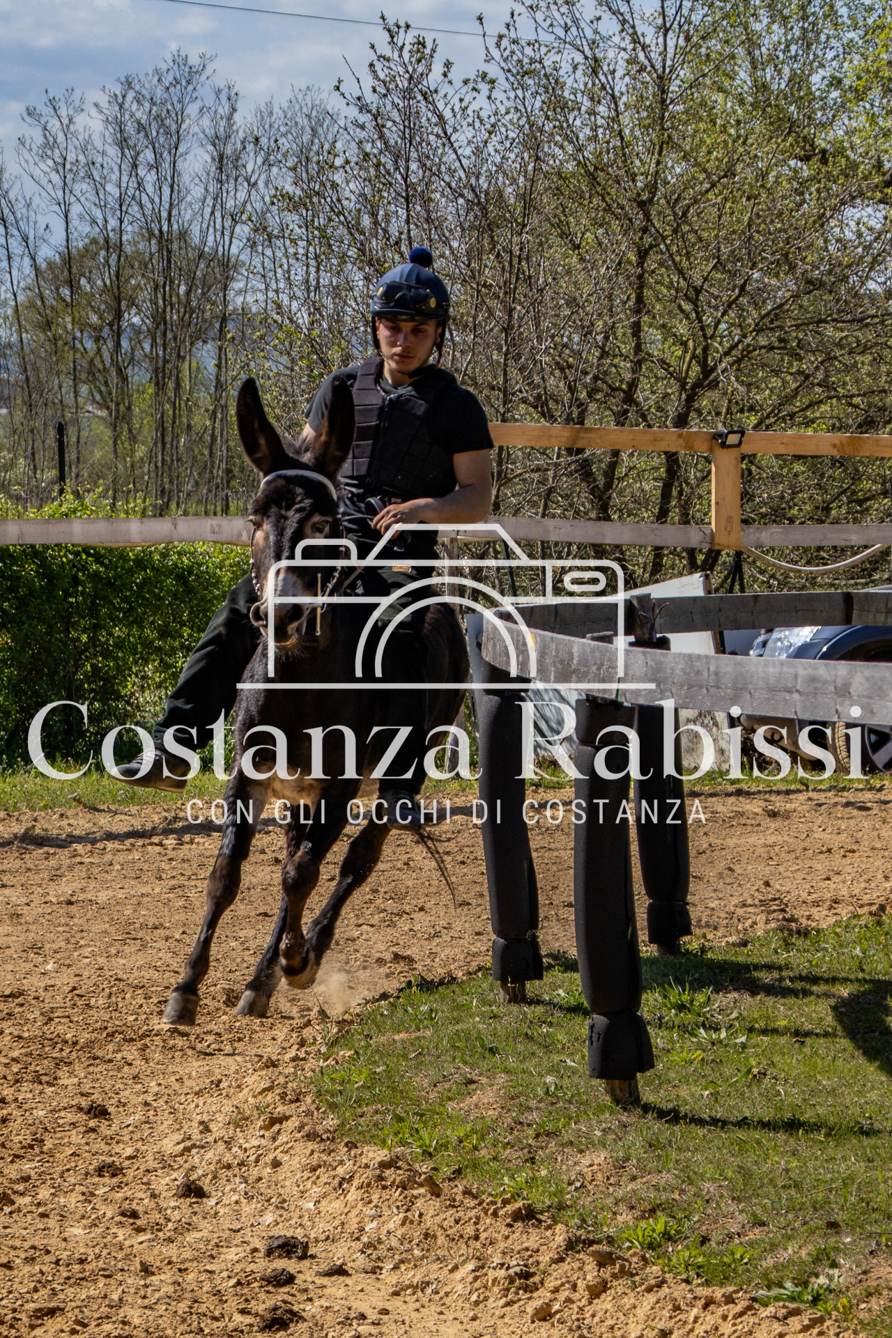 Meeting on the hills - 143