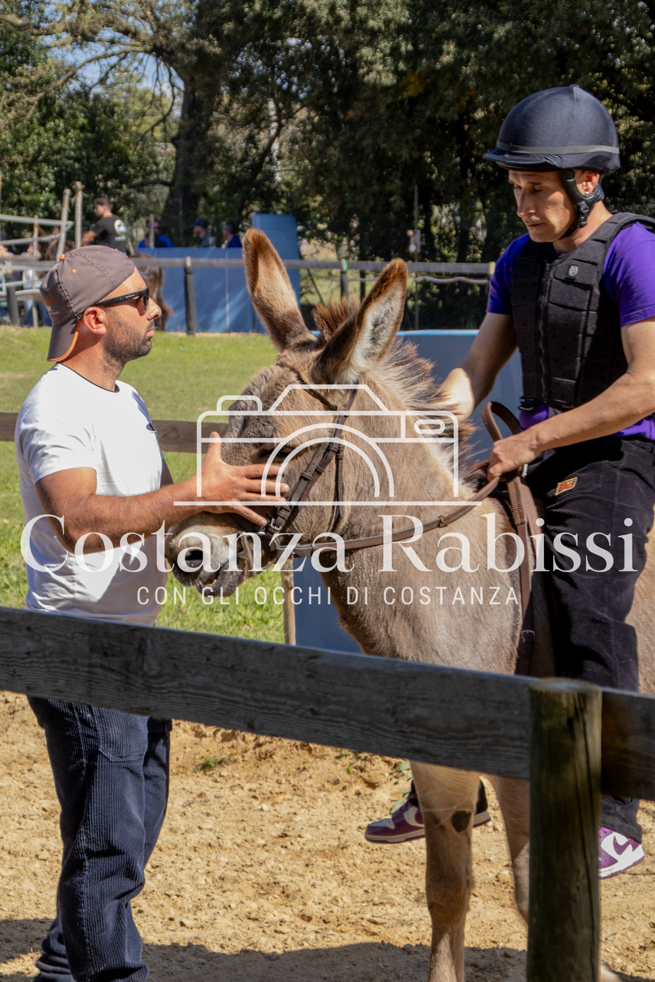 Meeting on the hills - 183