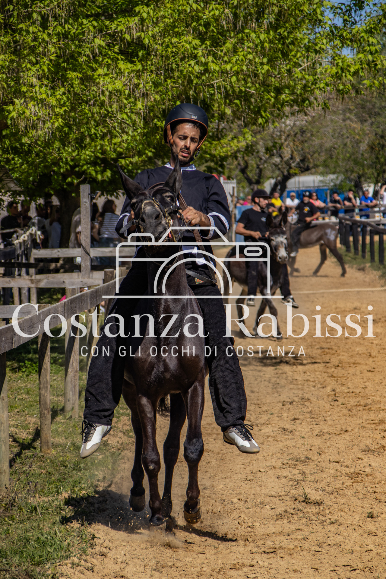 Meeting on the hills - 115