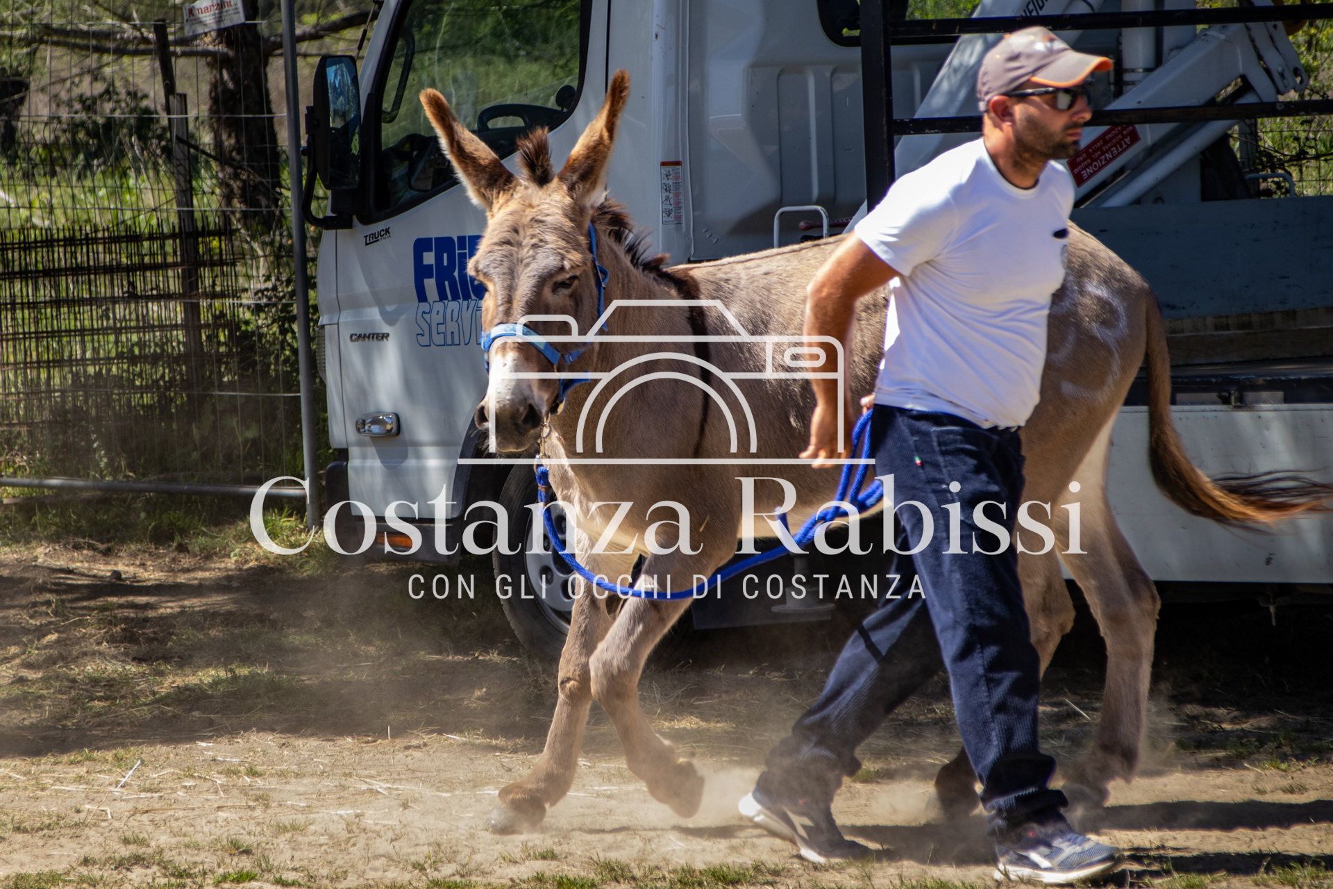 Meeting on the hills - 16