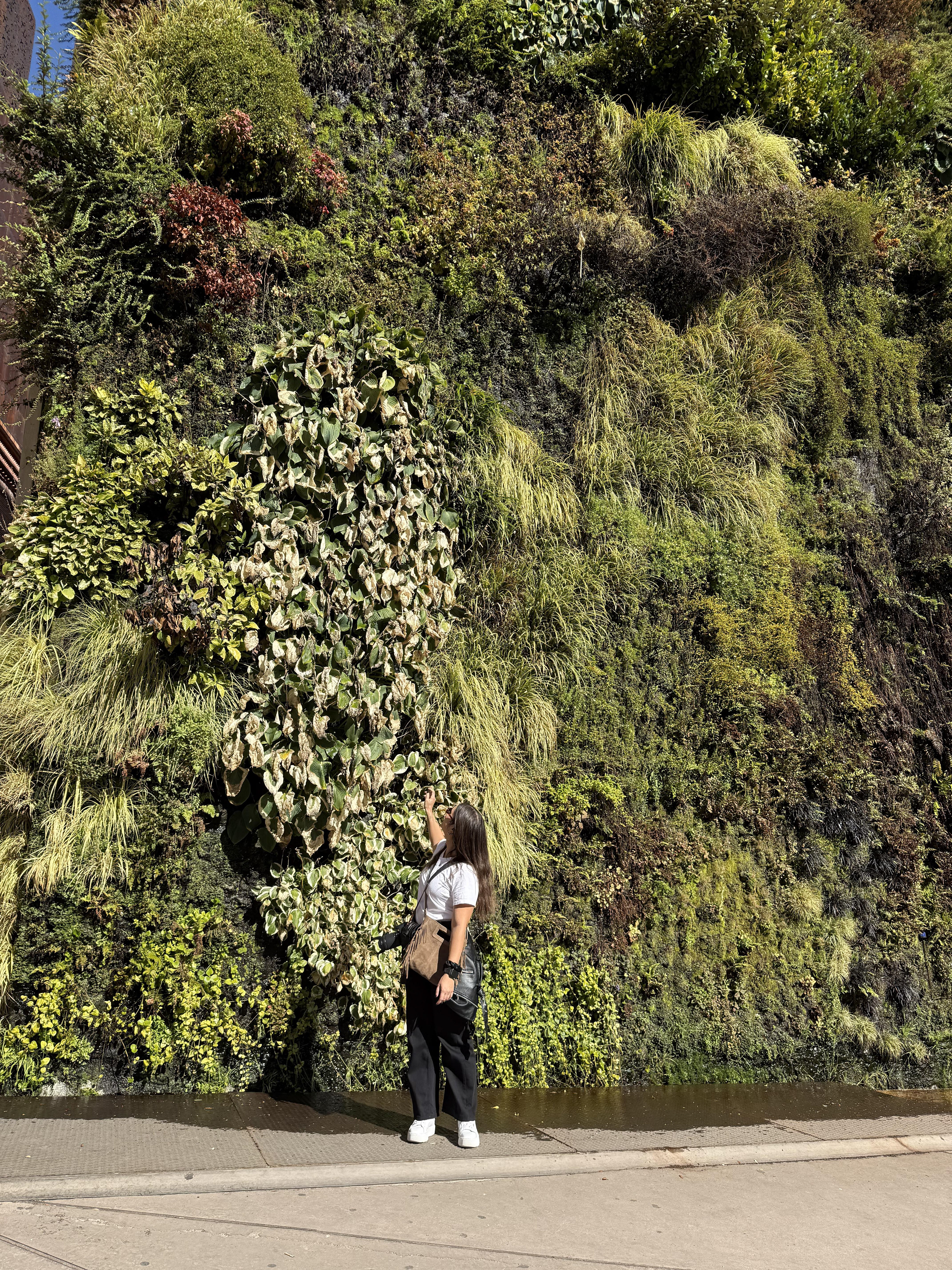 Jardín vertical CaixaForum