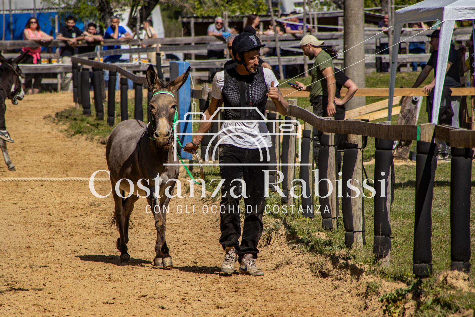 Meeting on the hills - 111