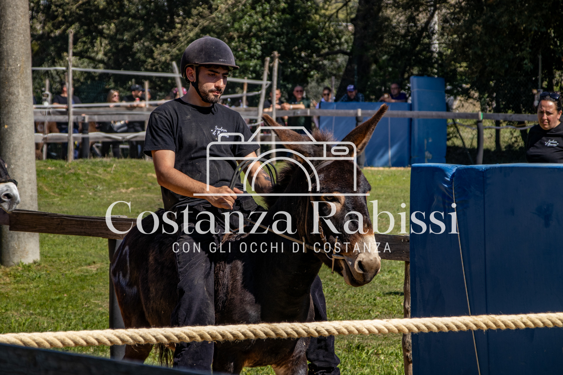 Meeting on the hills - 169