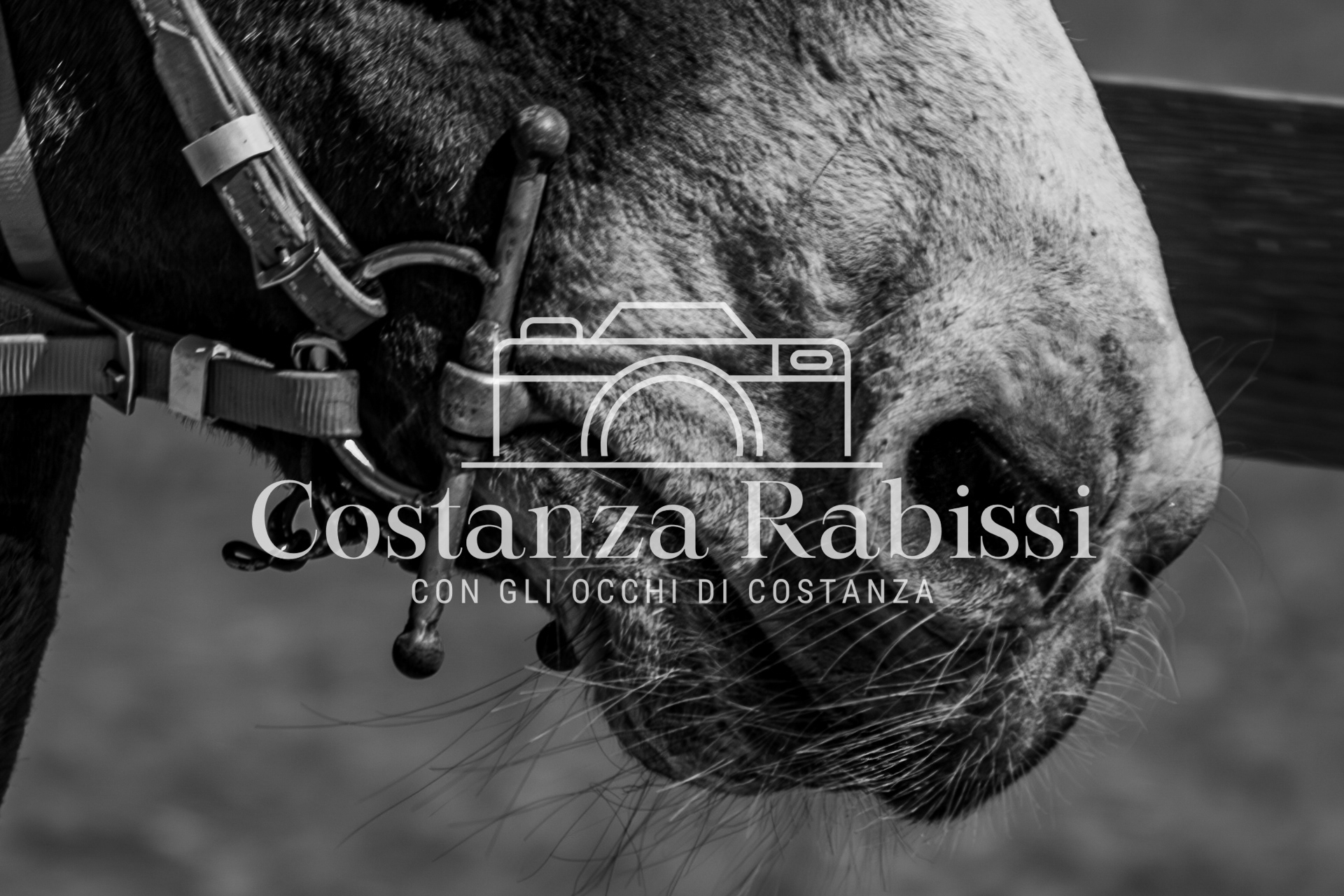 Meeting on the hills - 113