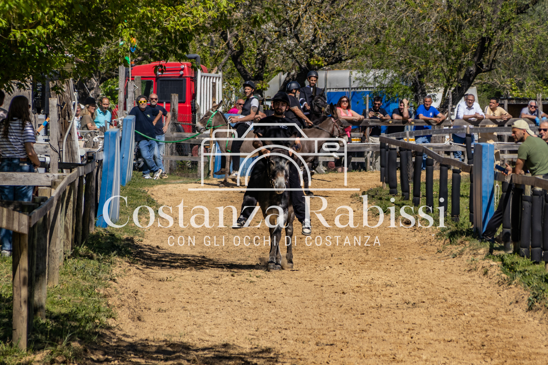 Meeting on the hills - 102