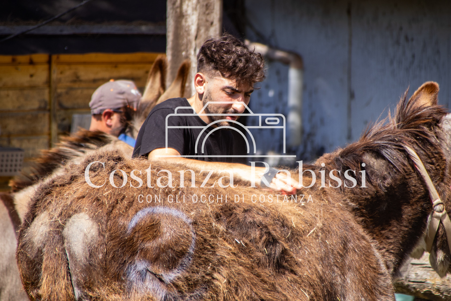 Meeting on the hills - 17