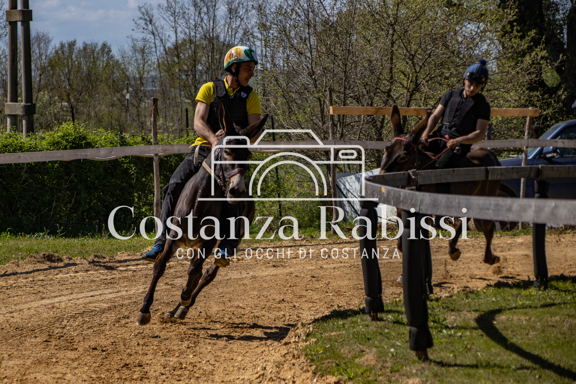 Meeting on the hills - 62