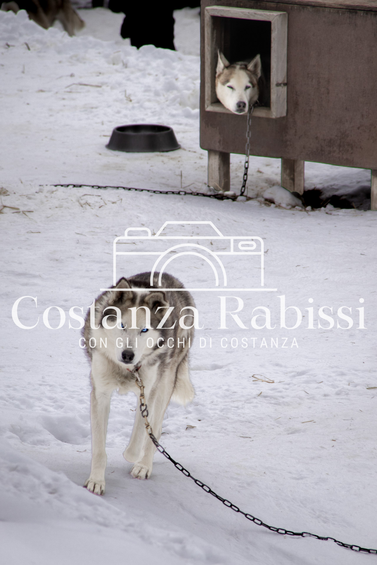 Passo del Tonale - 63