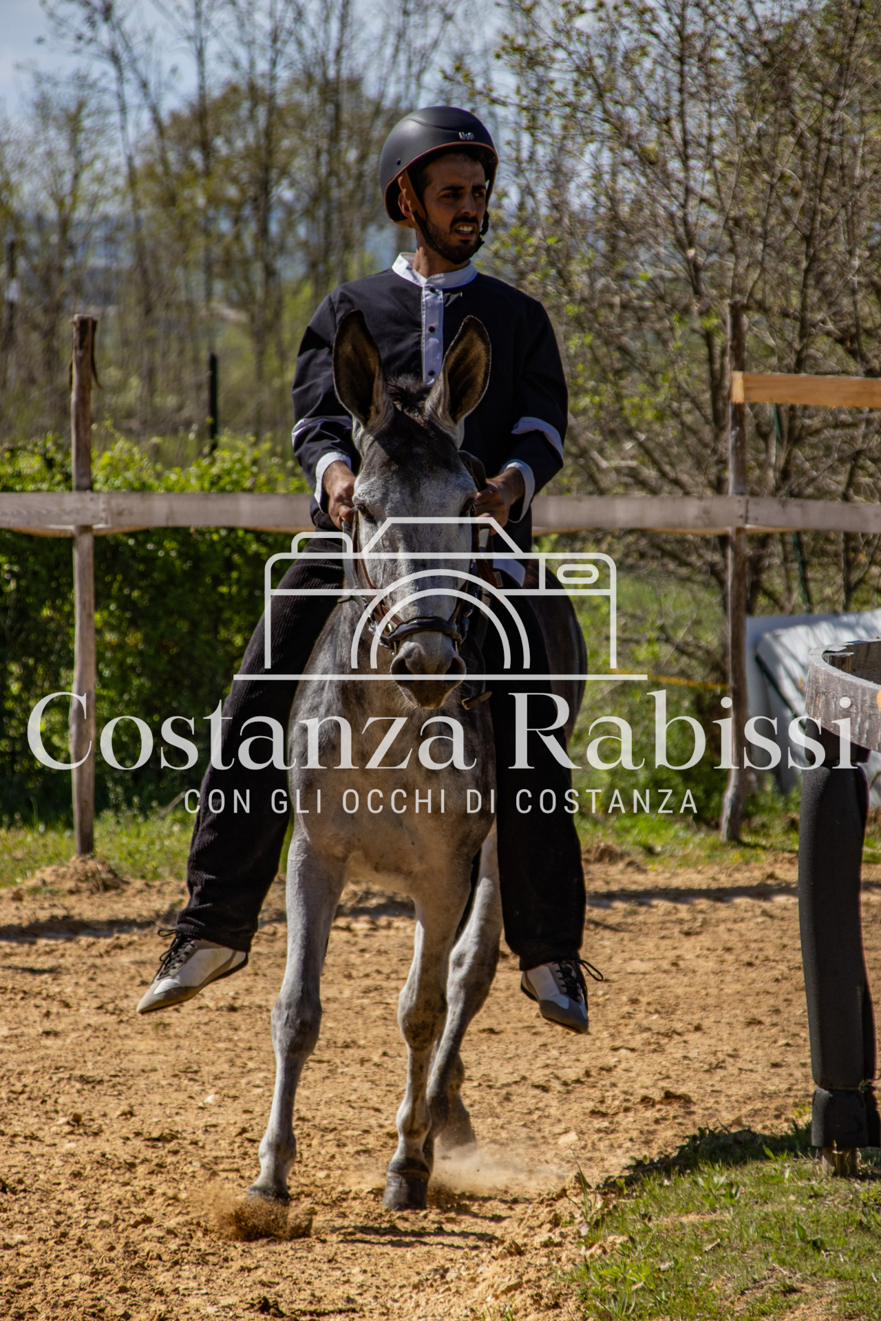 Meeting on the hills - 149