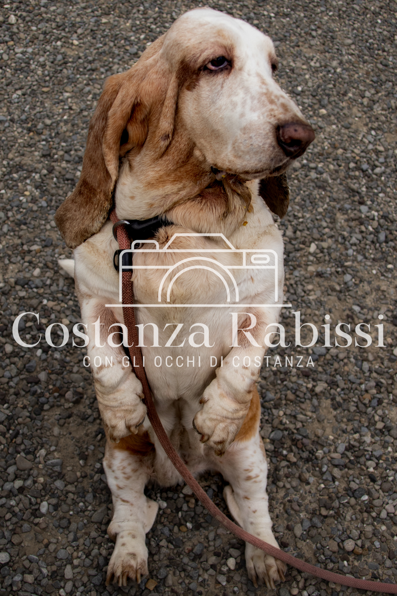 Mettiamoci in moto - 111