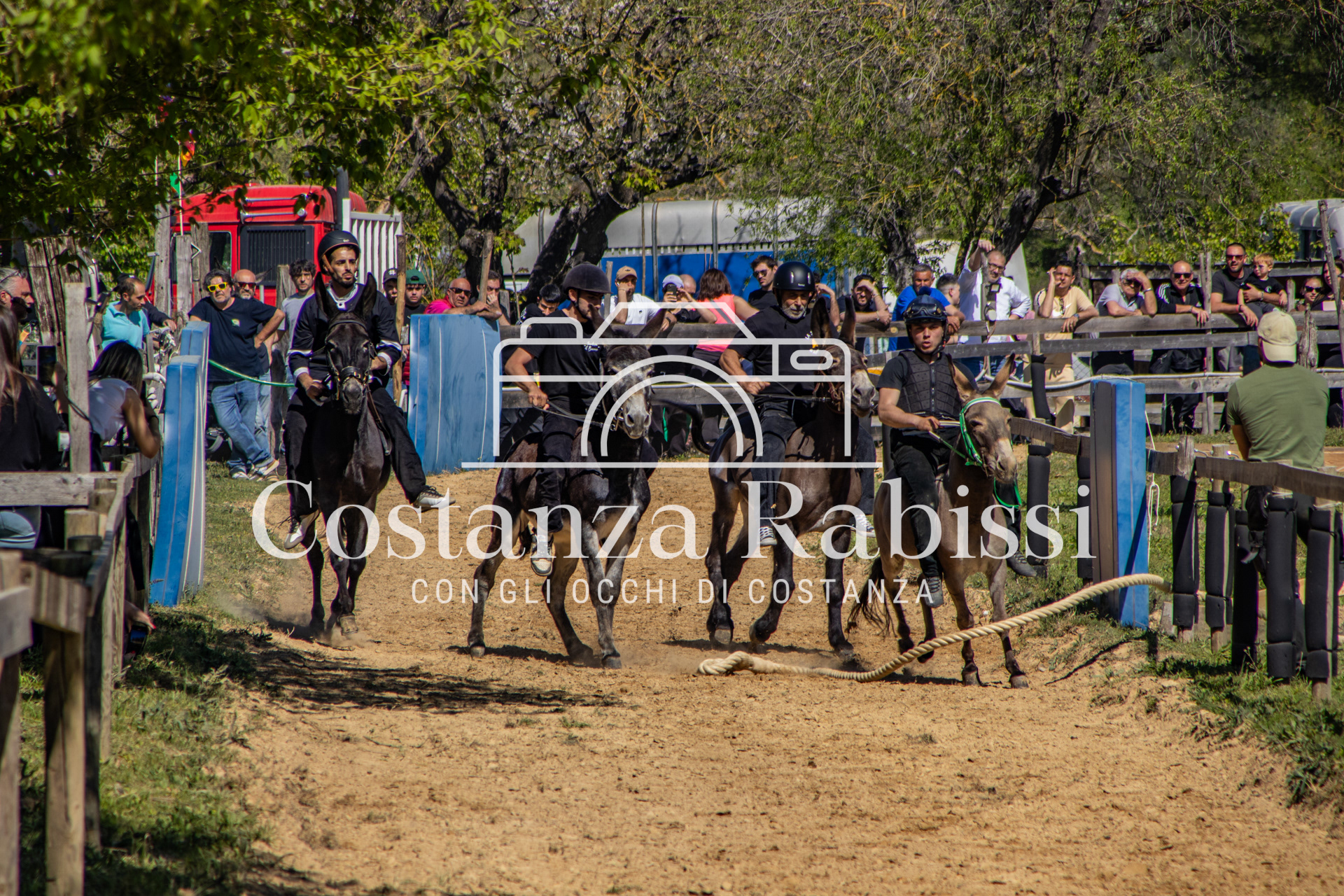 Meeting on the hills - 127