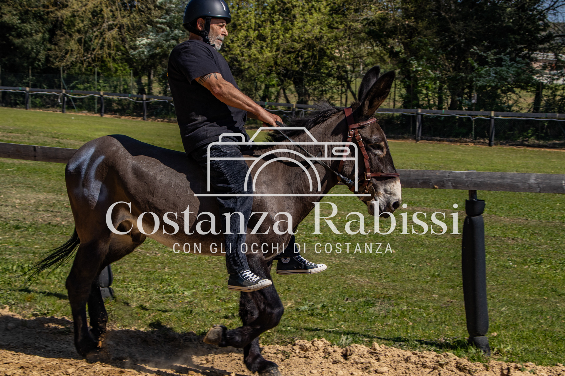 Meeting on the hills - 94