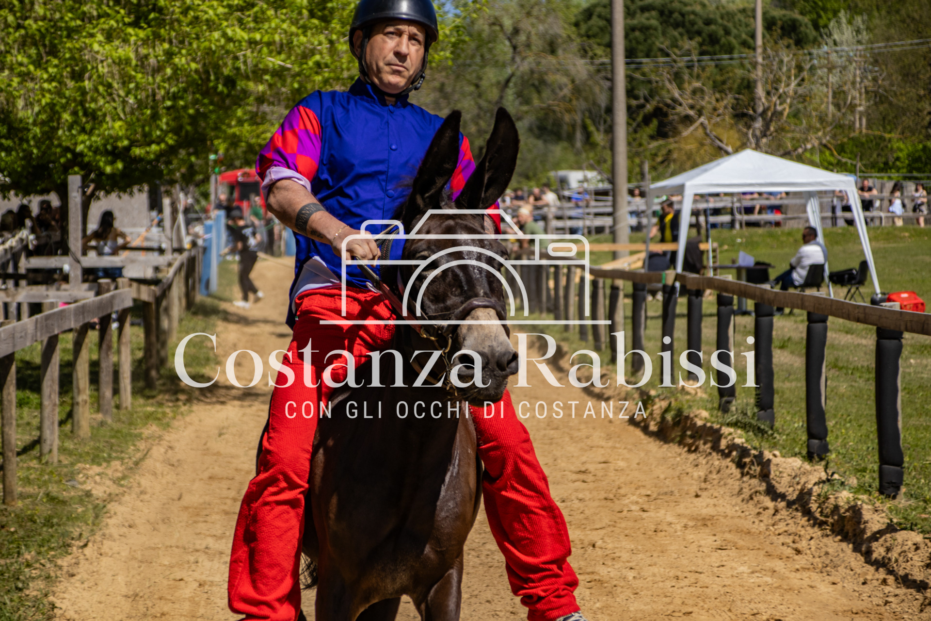 Meeting on the hills - 42