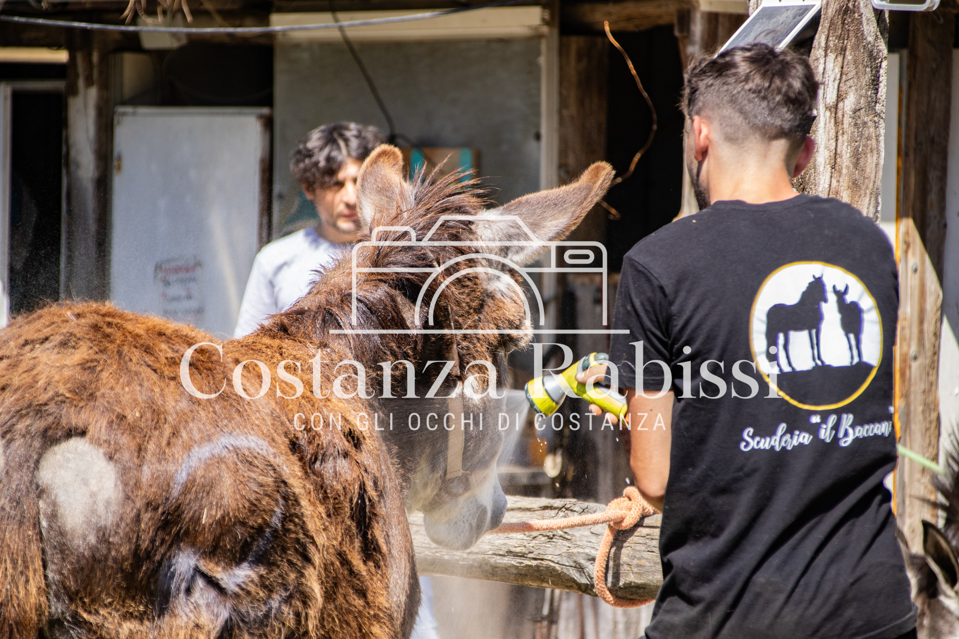 Meeting on the hills - 23