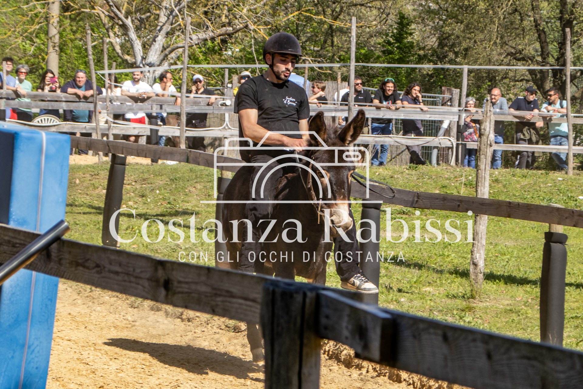 Meeting on the hills - 179