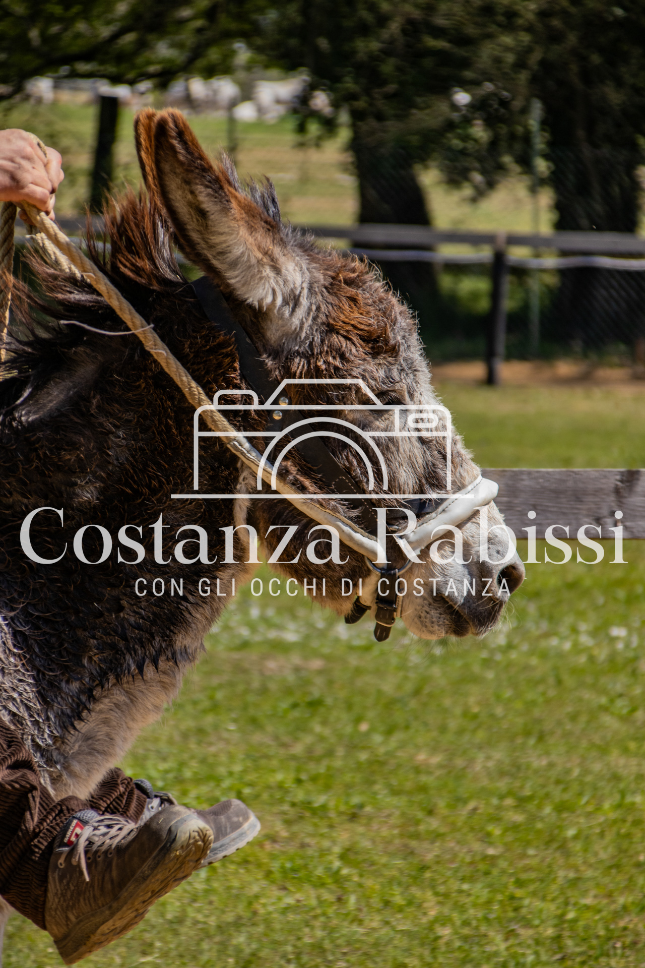 Meeting on the hills - 39