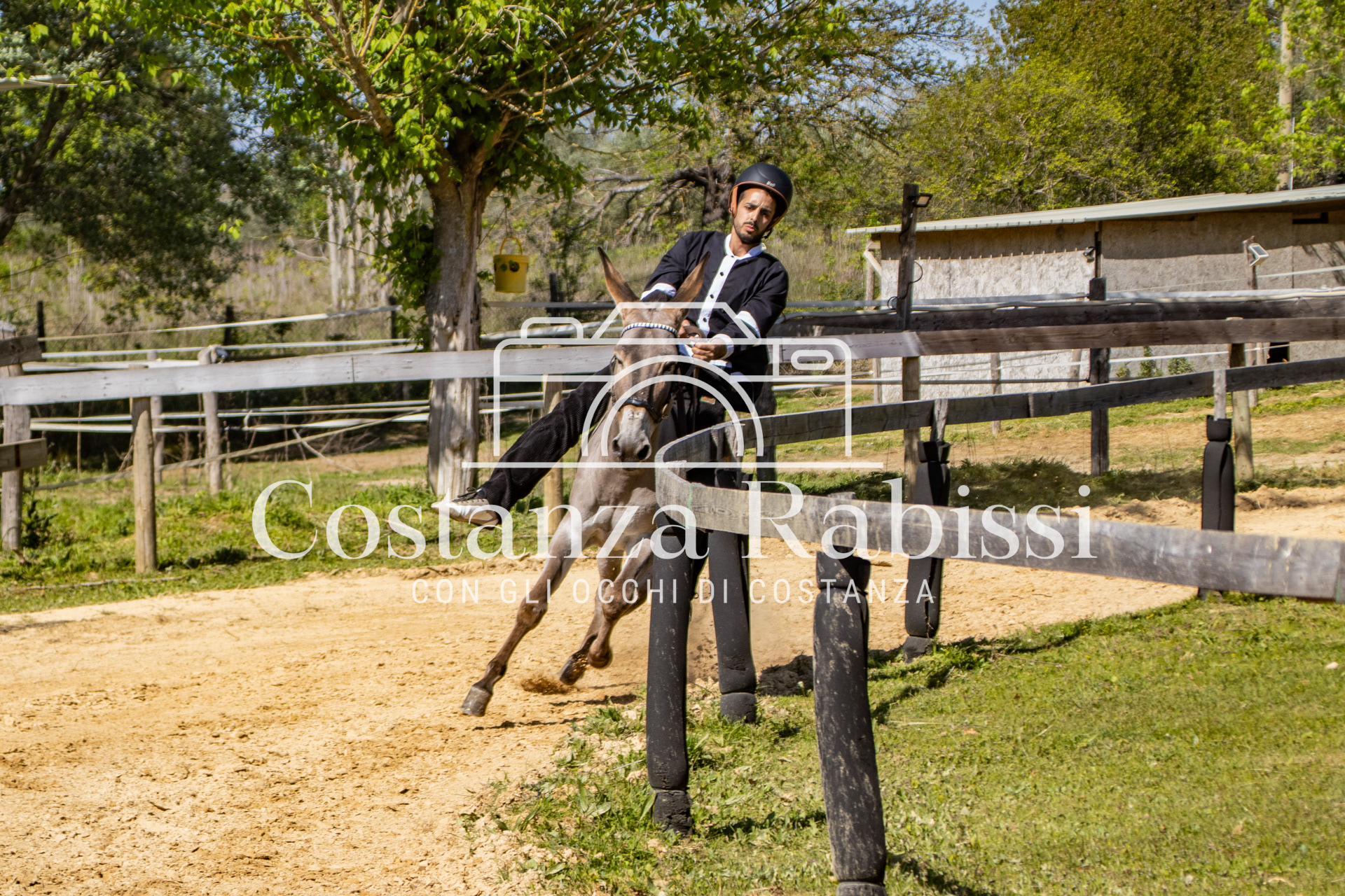 Meeting on the hills - 77