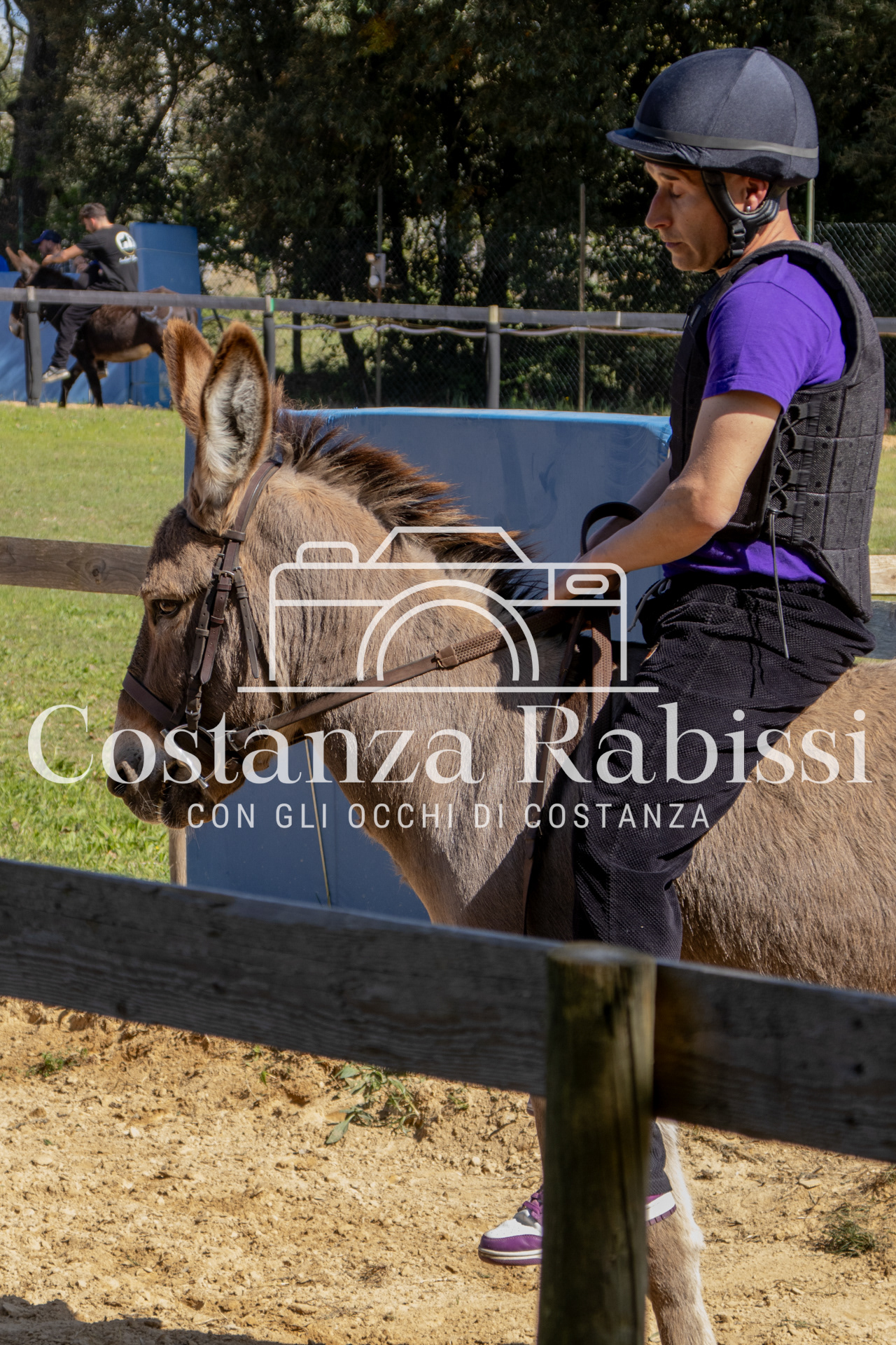 Meeting on the hills - 182