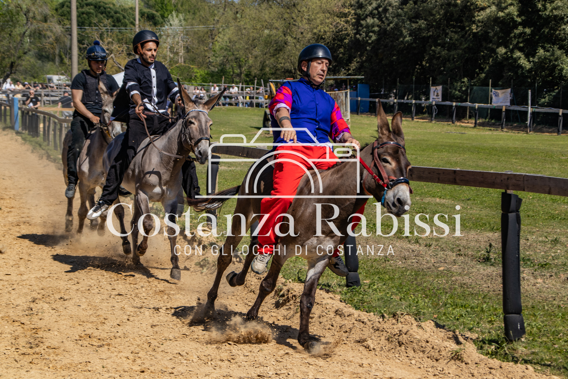 Meeting on the hills - 86