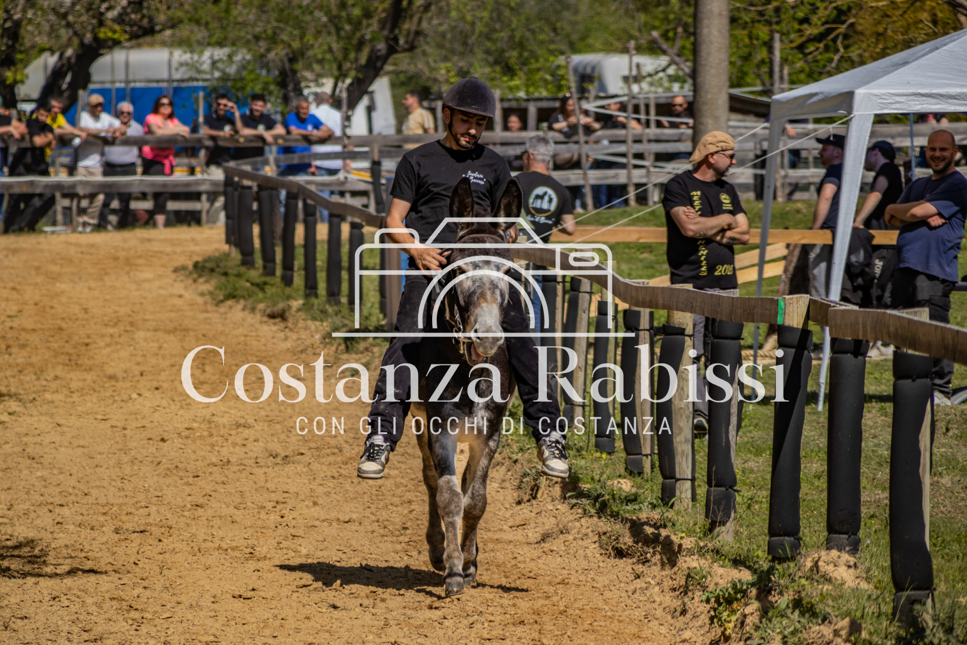 Meeting on the hills - 99