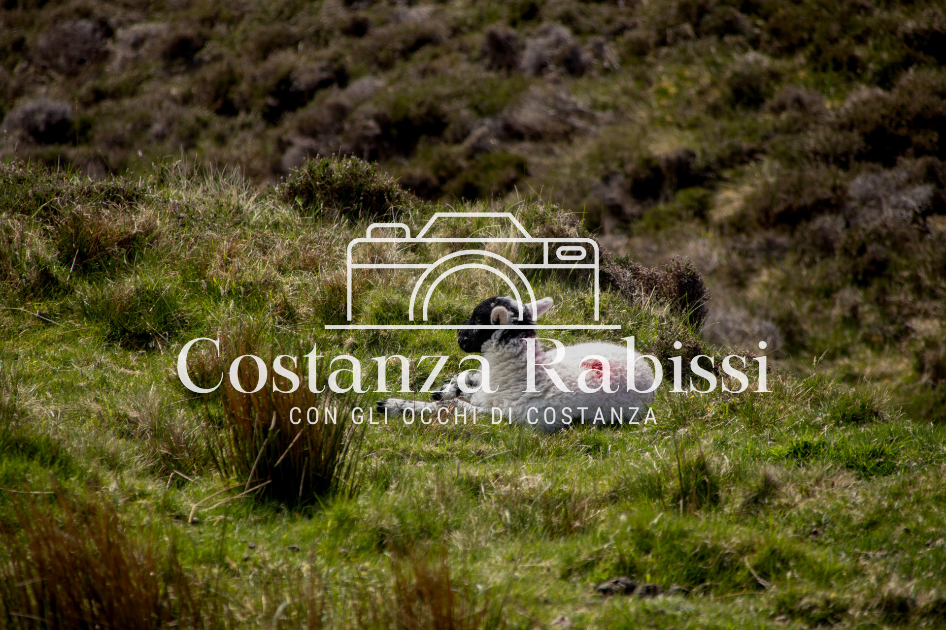 Irlanda - 233