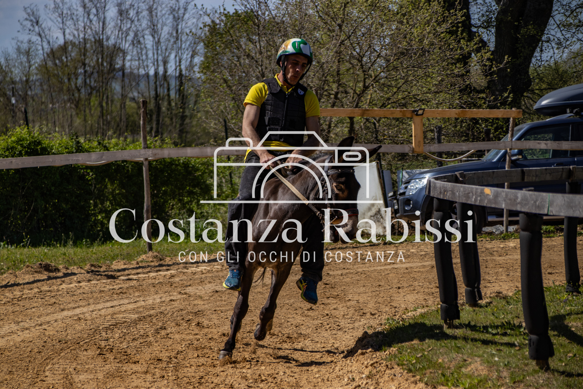 Meeting on the hills - 57