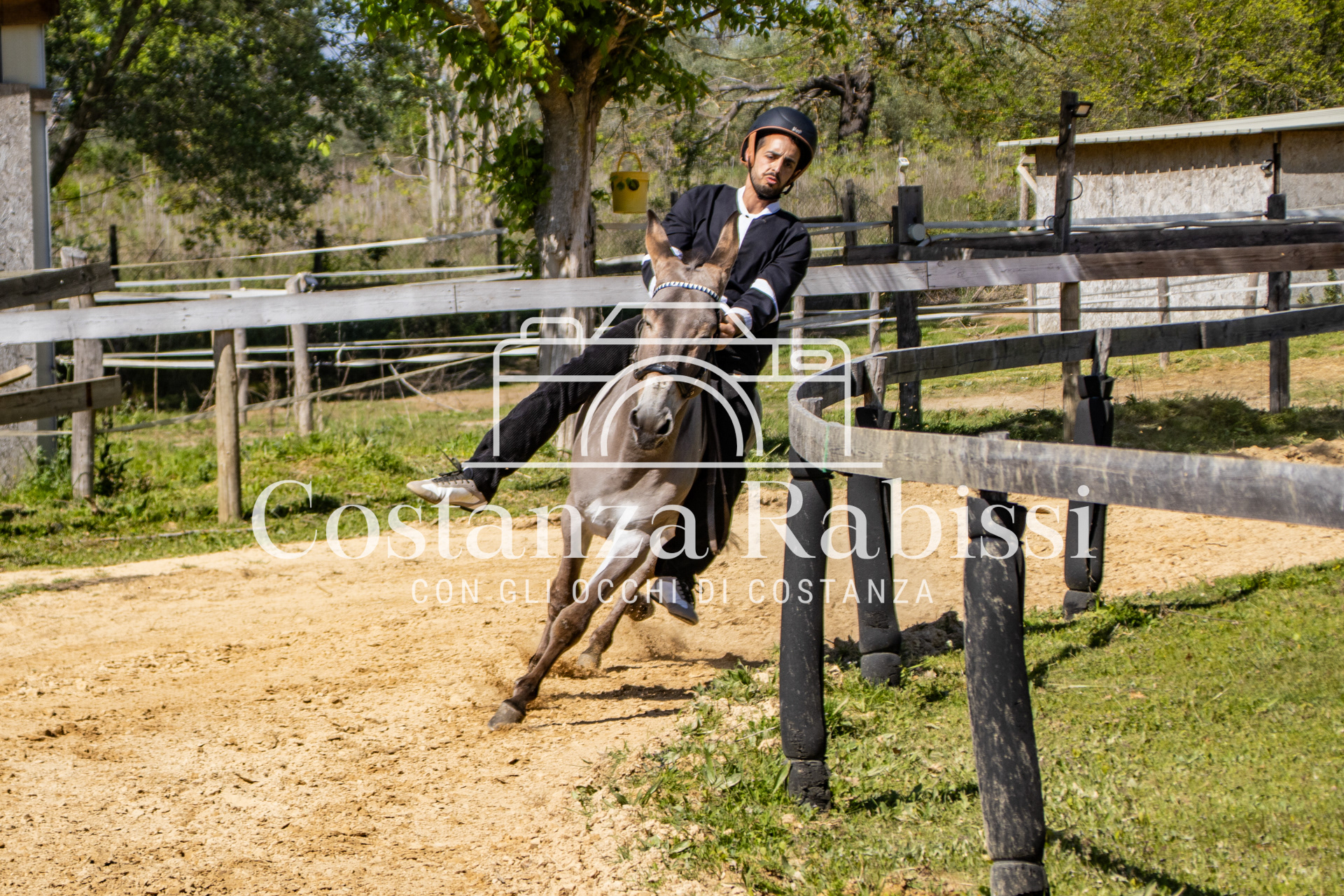 Meeting on the hills - 78