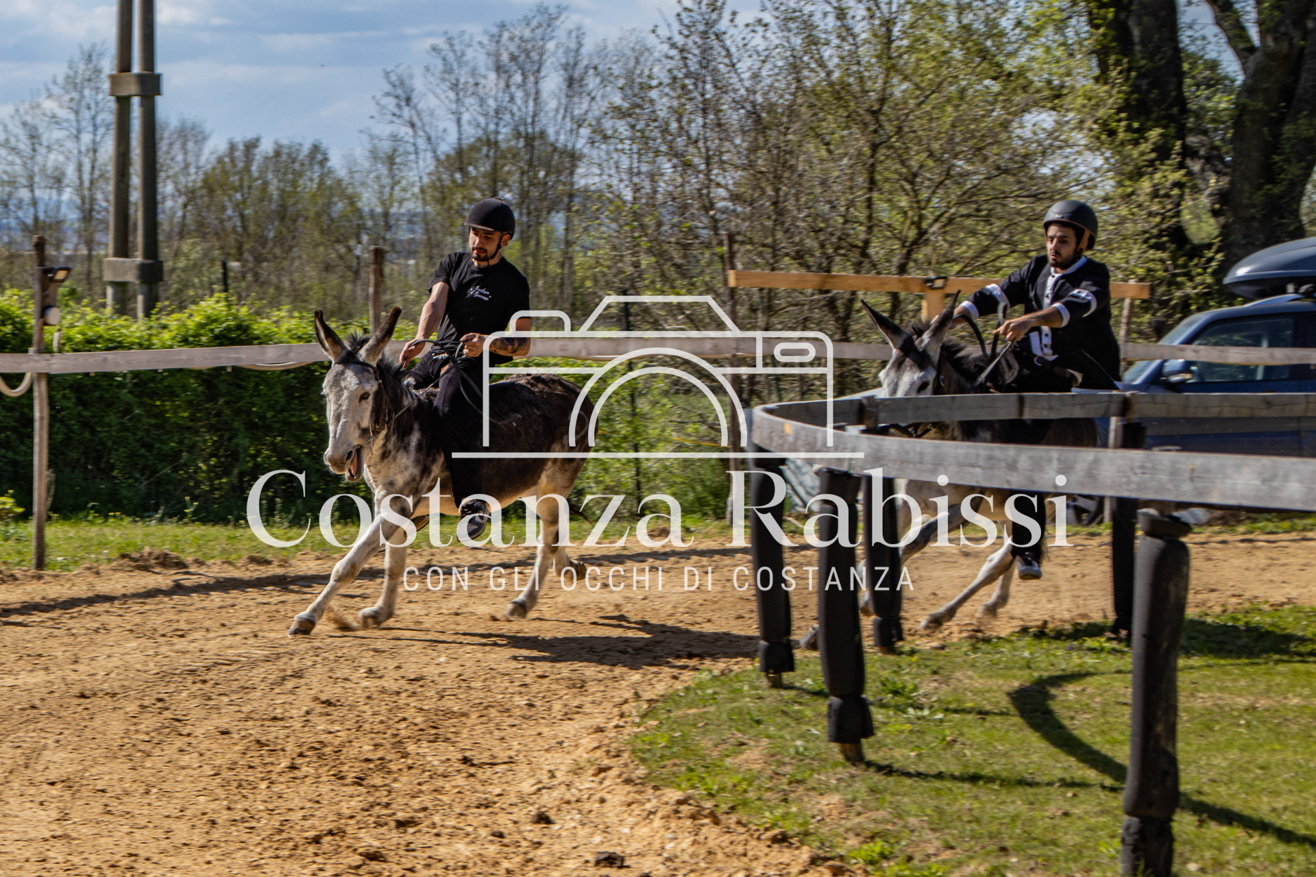 Meeting on the hills - 157