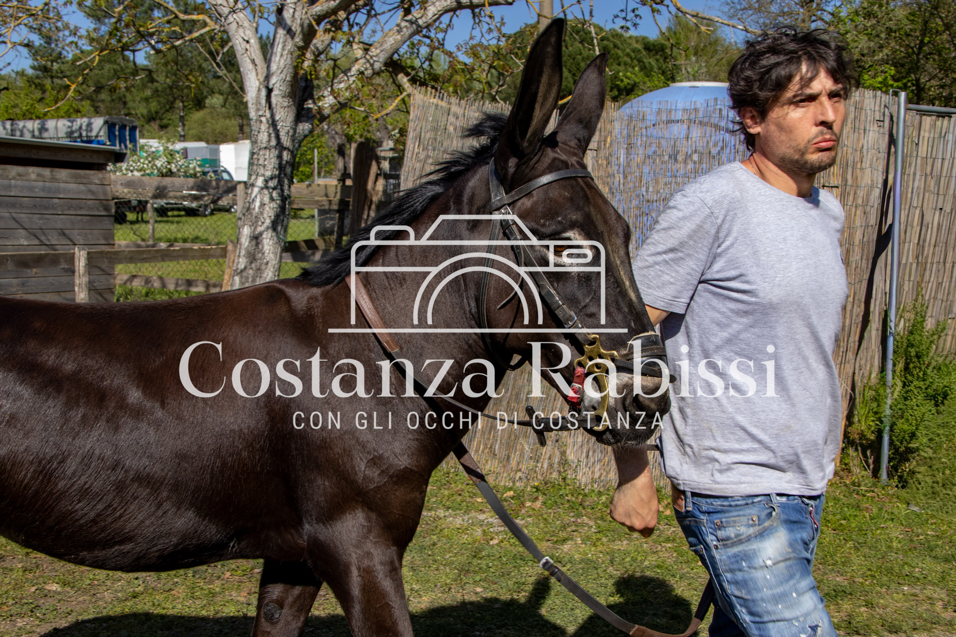 Meeting on the hills - 199