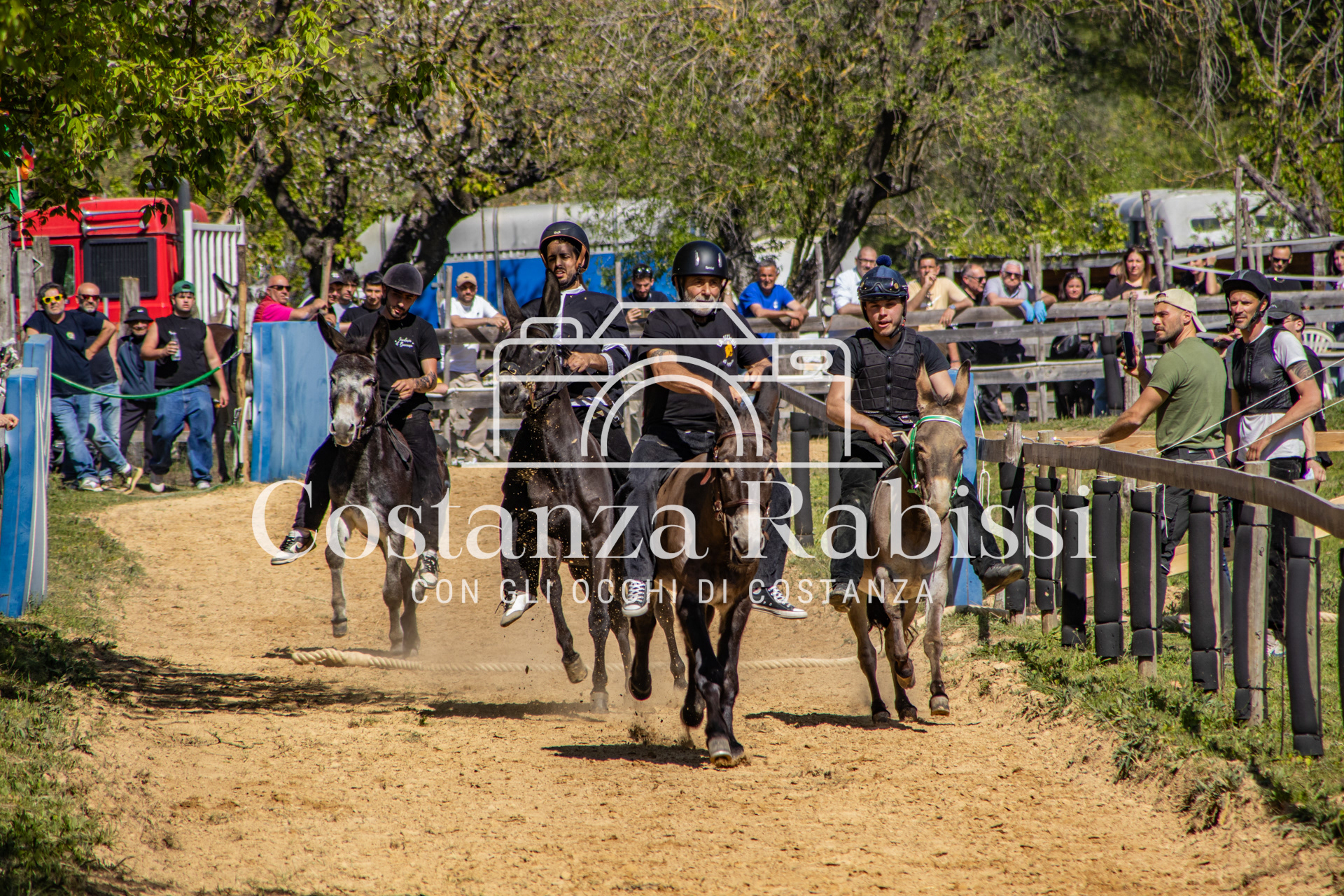 Meeting on the hills - 119