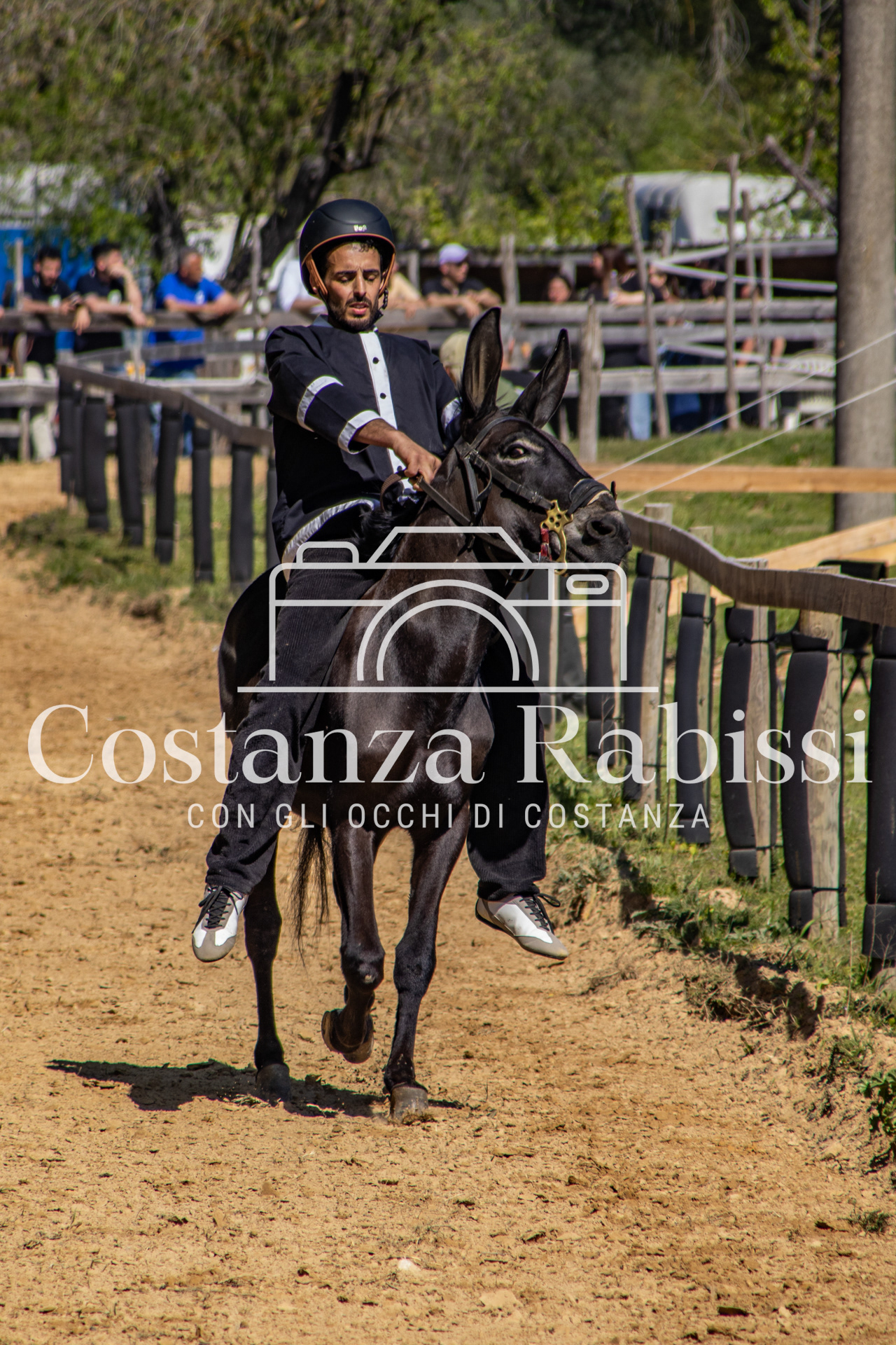 Meeting on the hills - 95