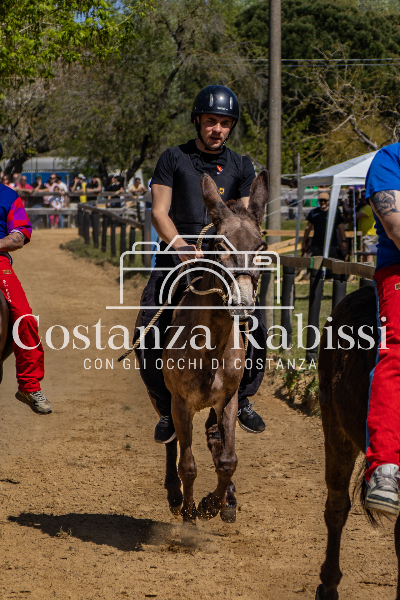 Meeting on the hills - 40