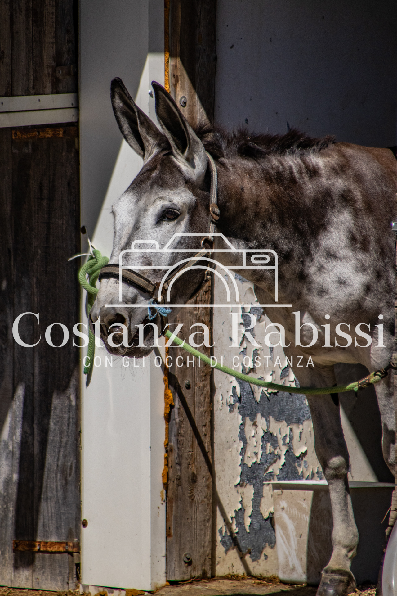 Meeting on the hills - 18