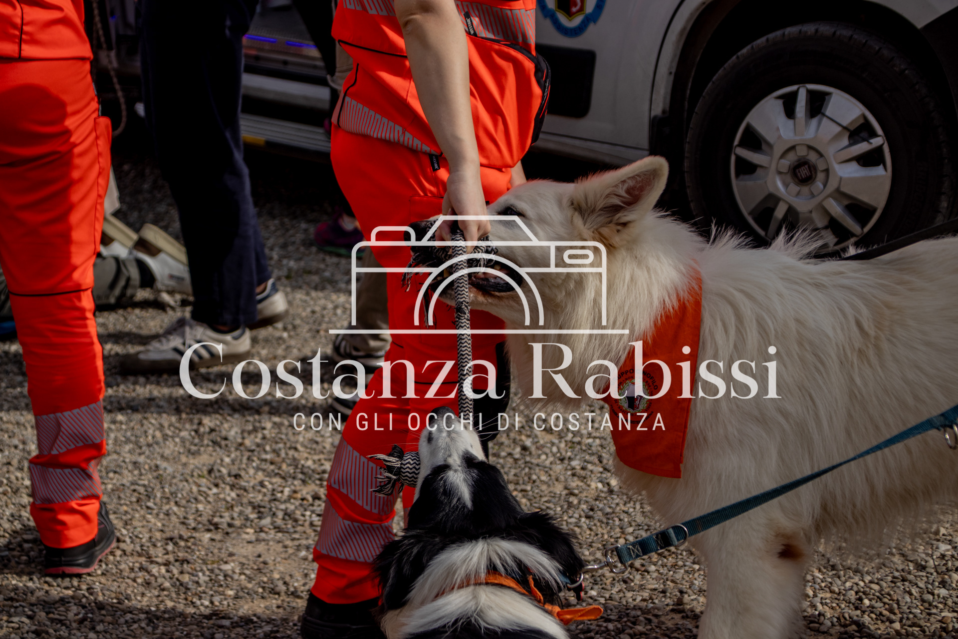 Mettiamoci in moto - 83