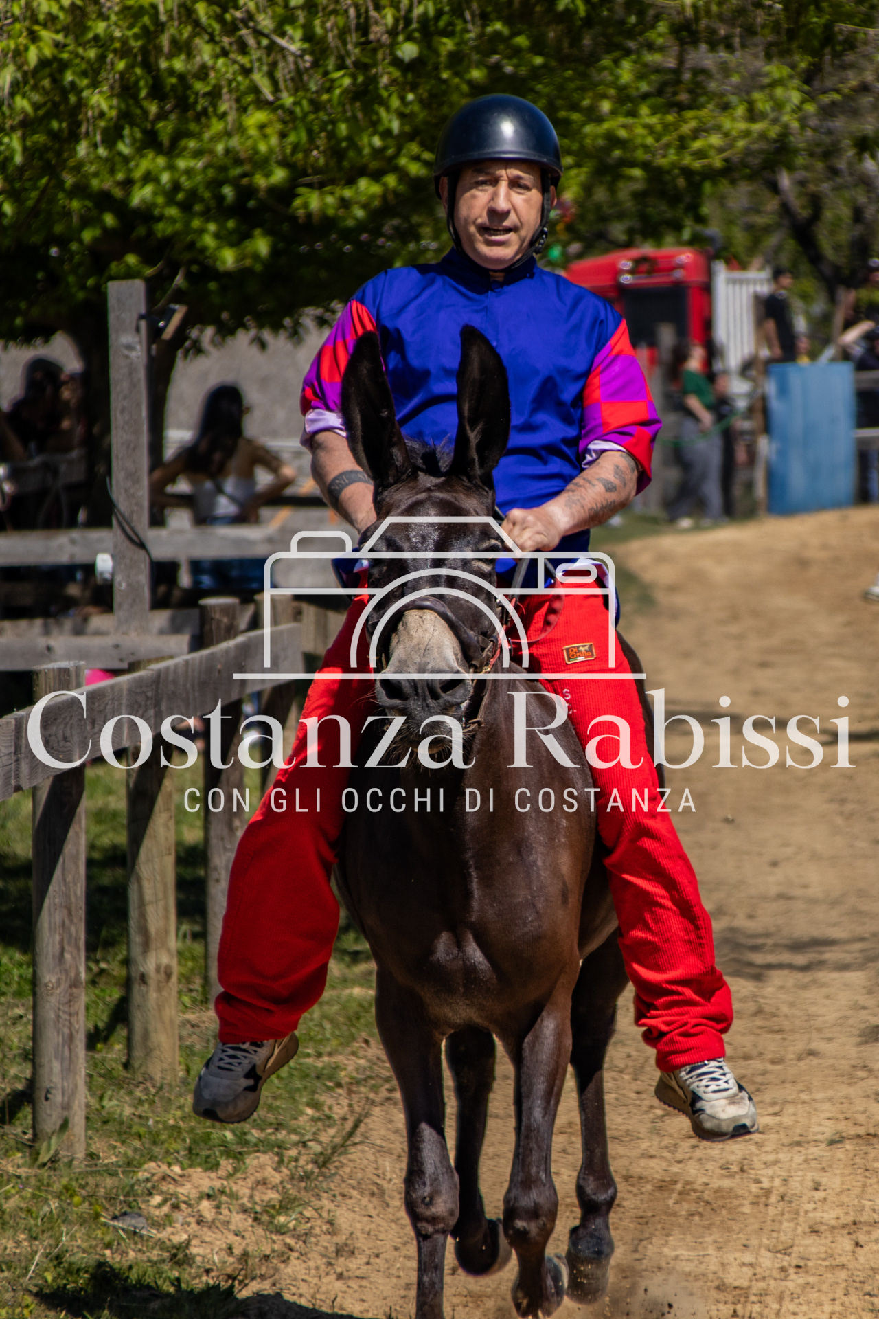 Meeting on the hills - 41