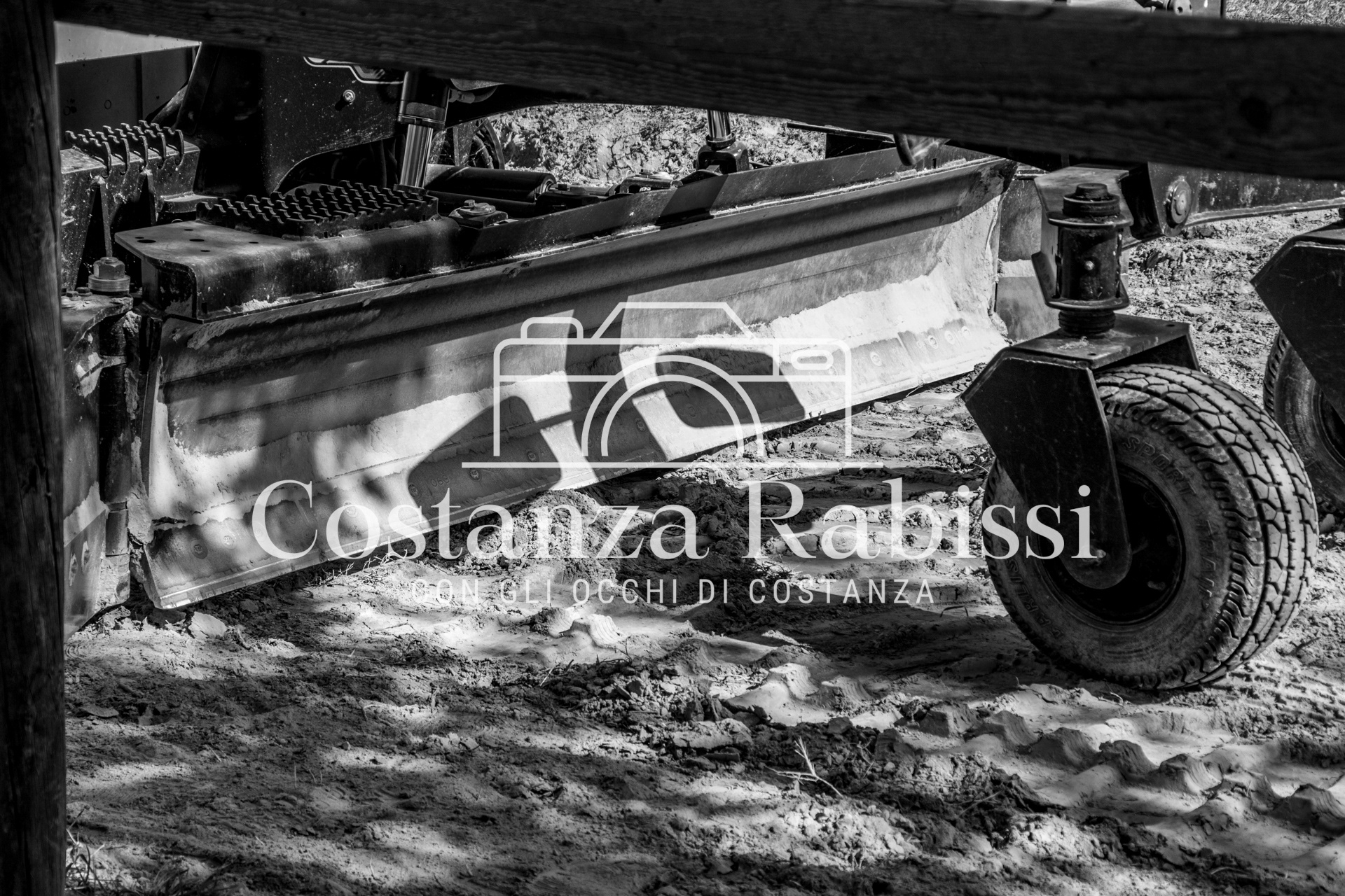 Meeting on the hills - 185