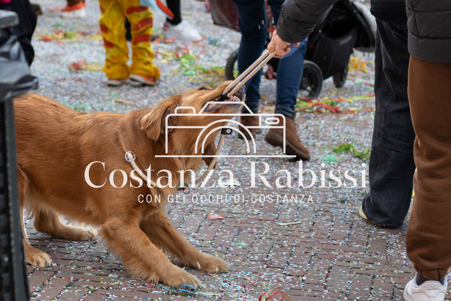CARNEVALE 26 - 26