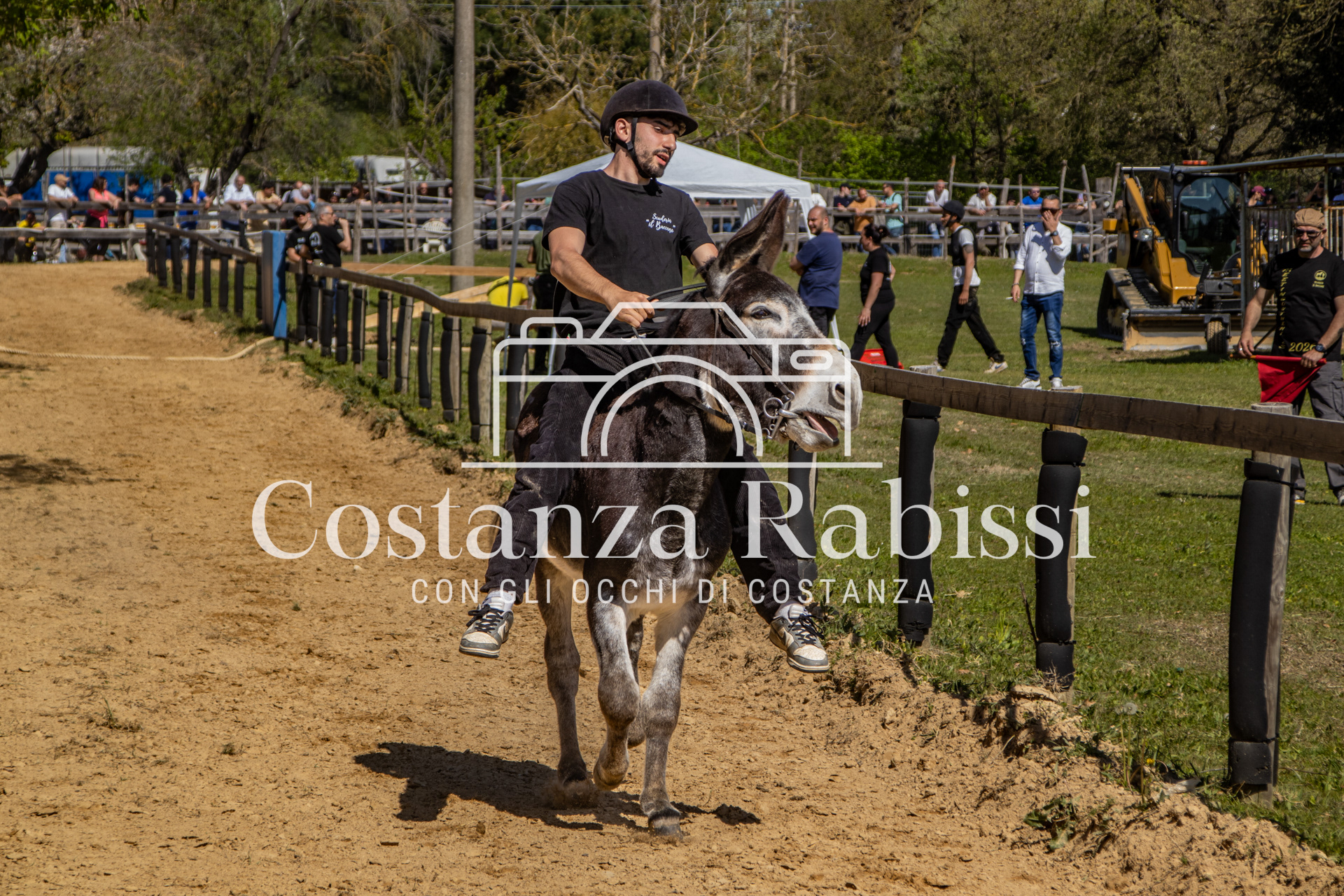 Meeting on the hills - 120