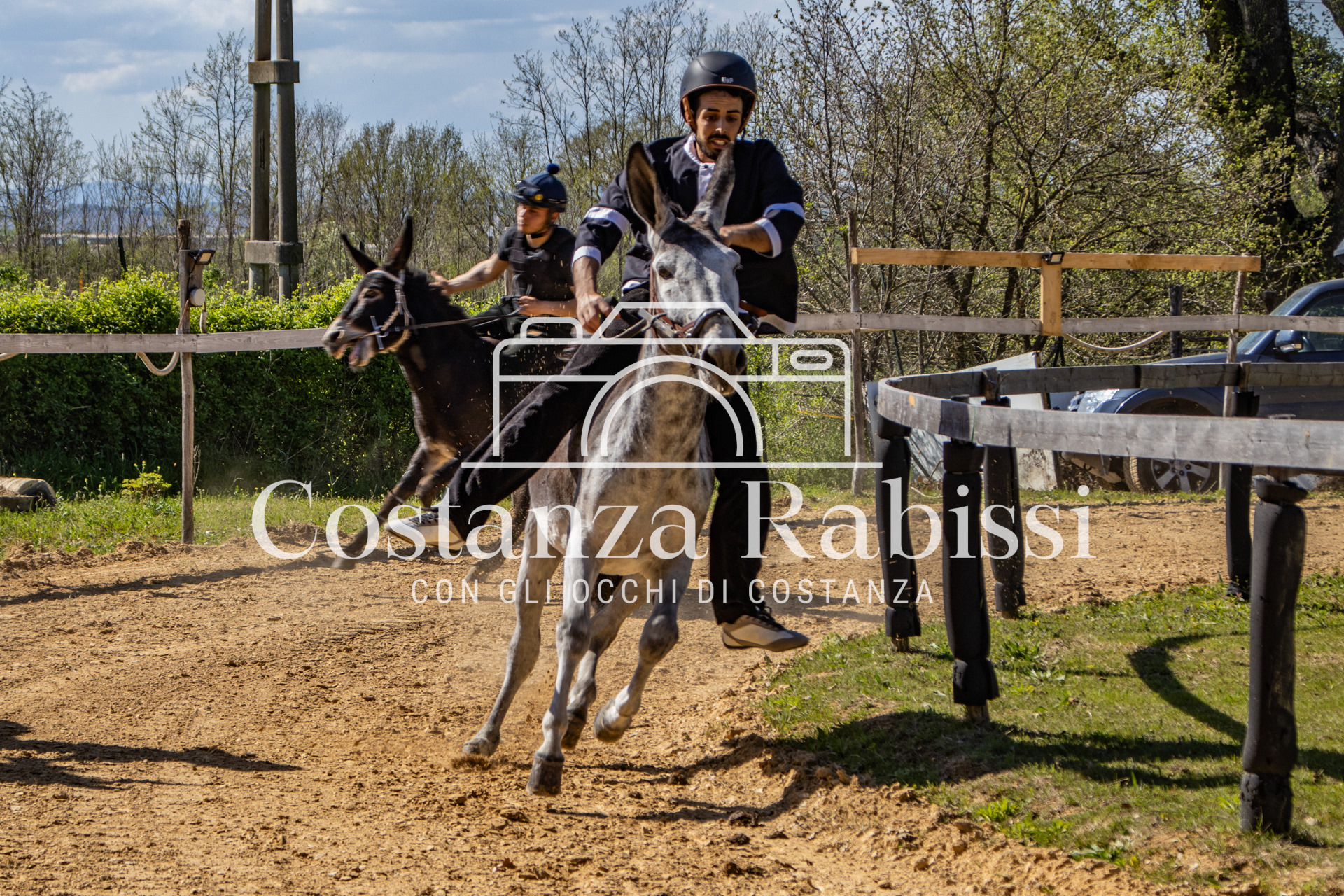 Meeting on the hills - 158