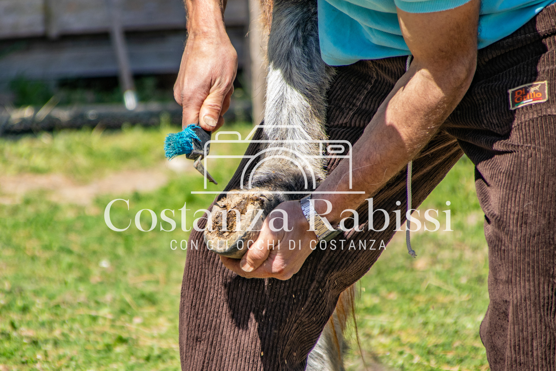 Meeting on the hills - 21