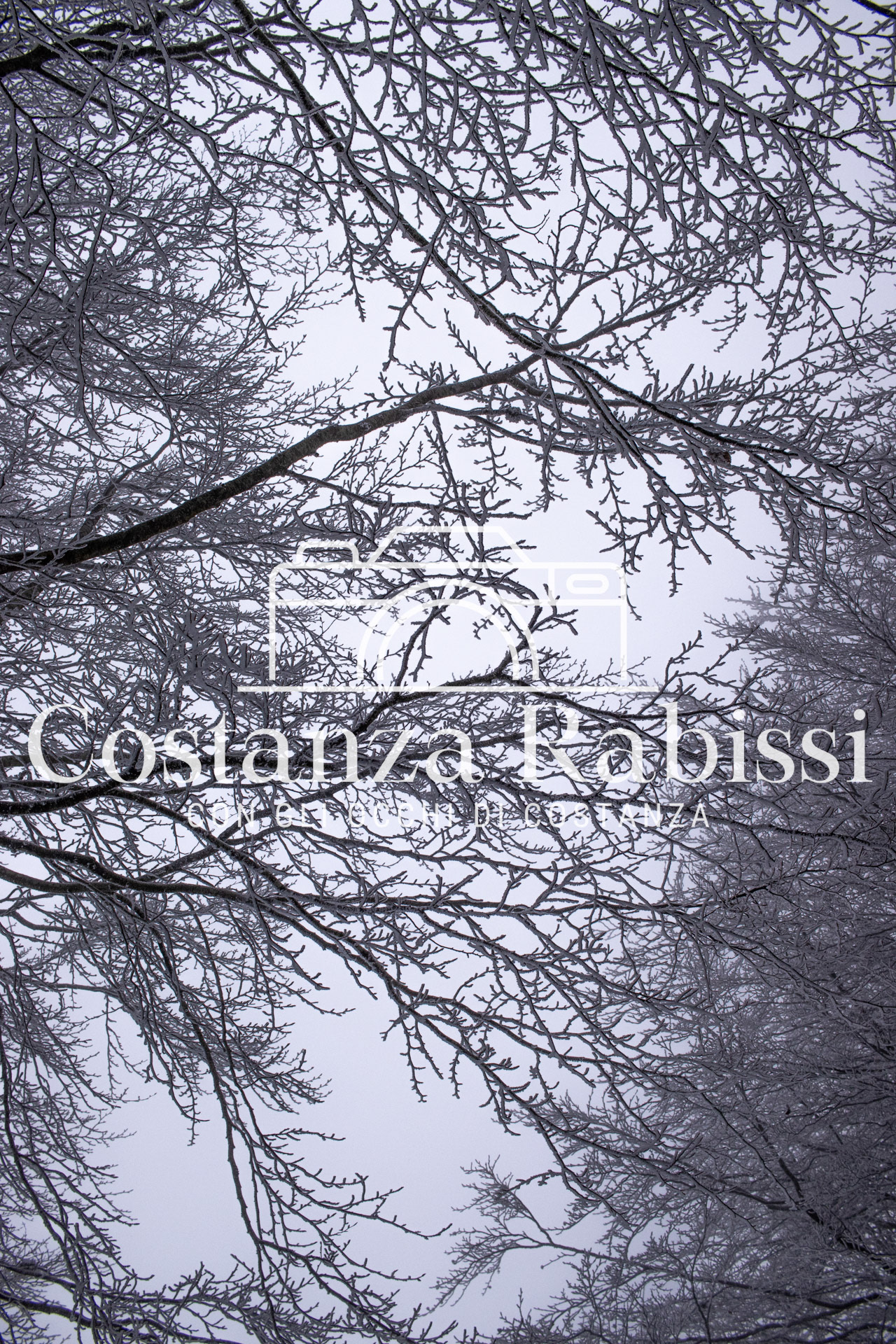 AMIATA INVERNO 26 - 12