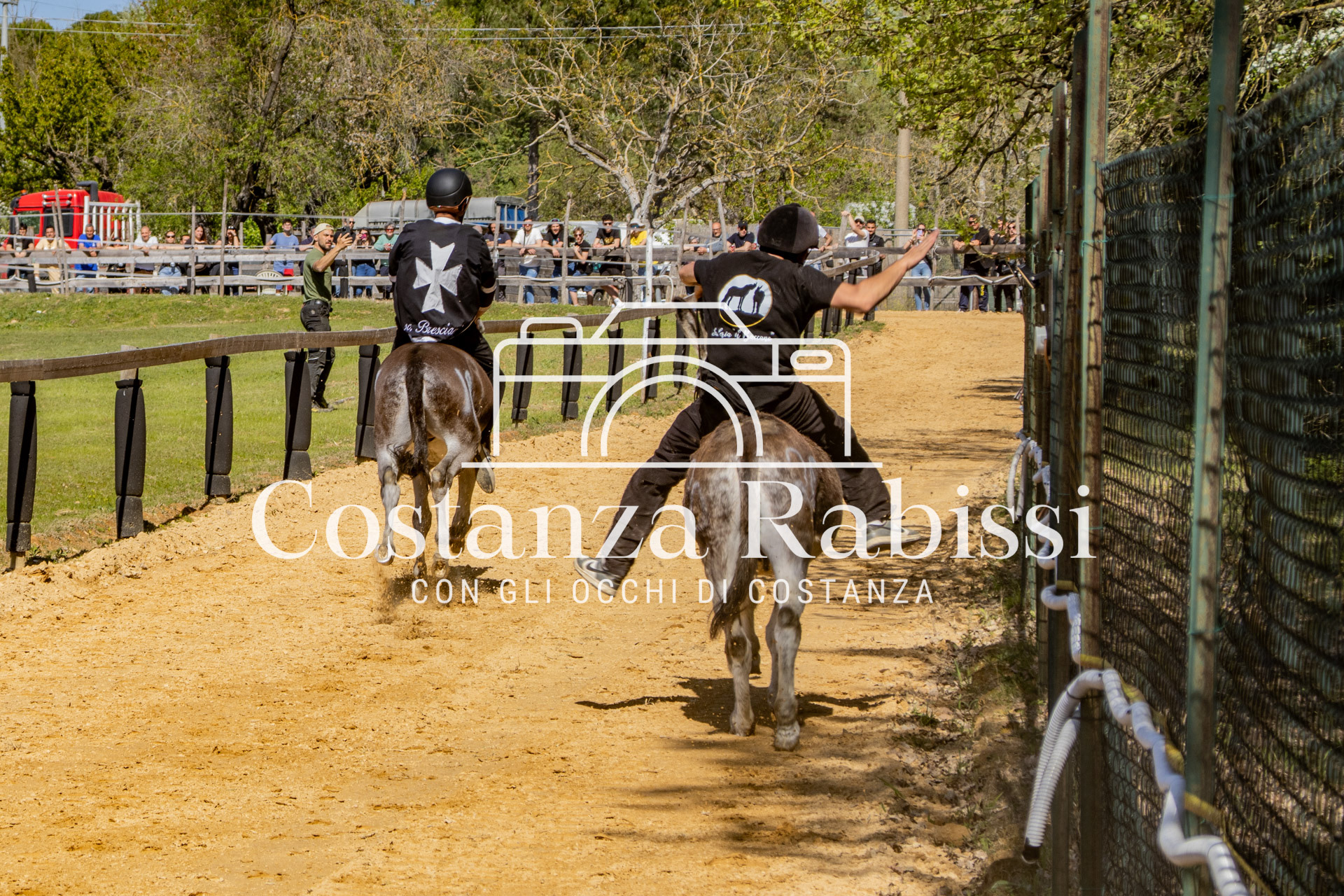 Meeting on the hills - 152