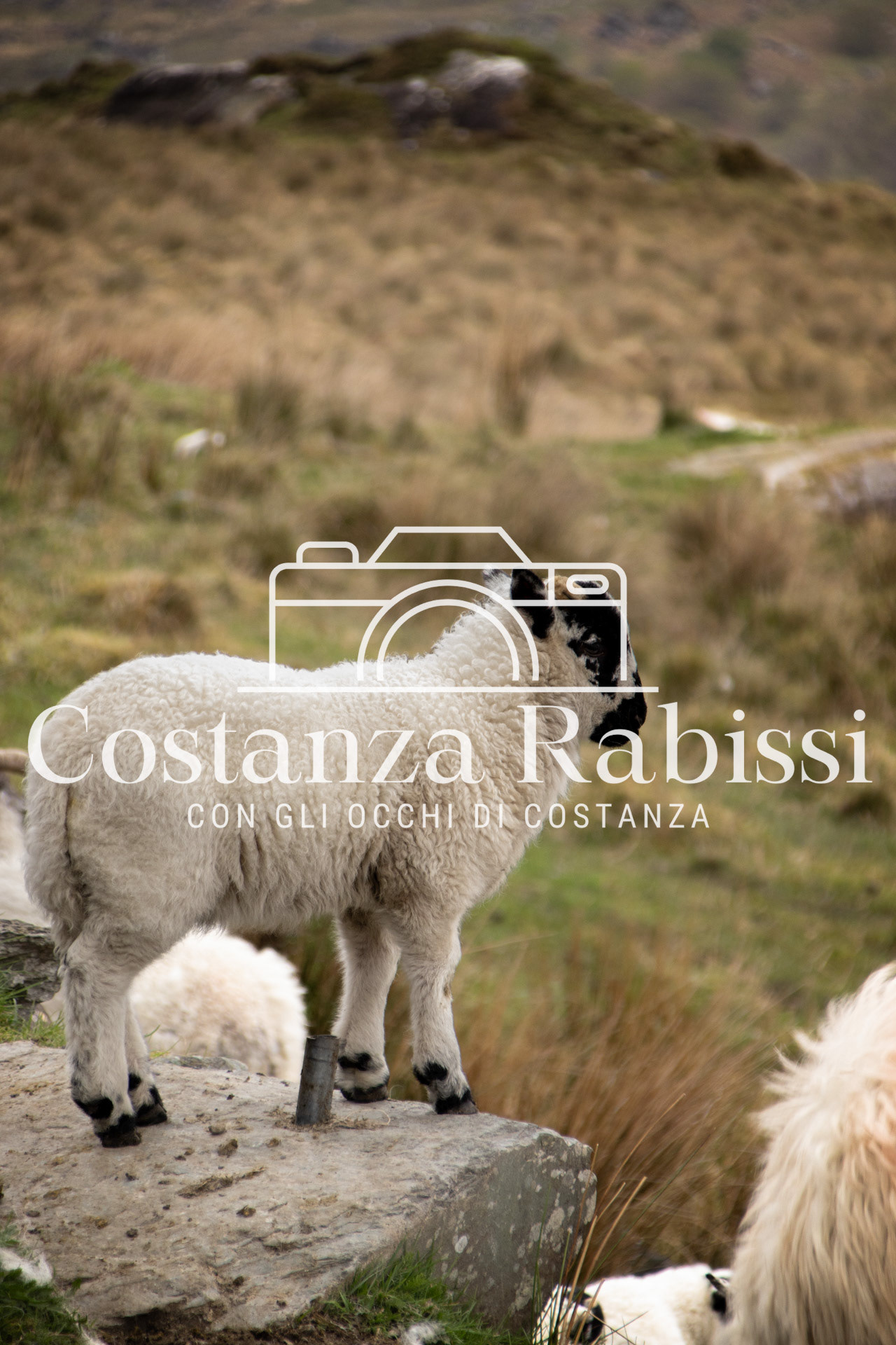 IRLANDA - 142