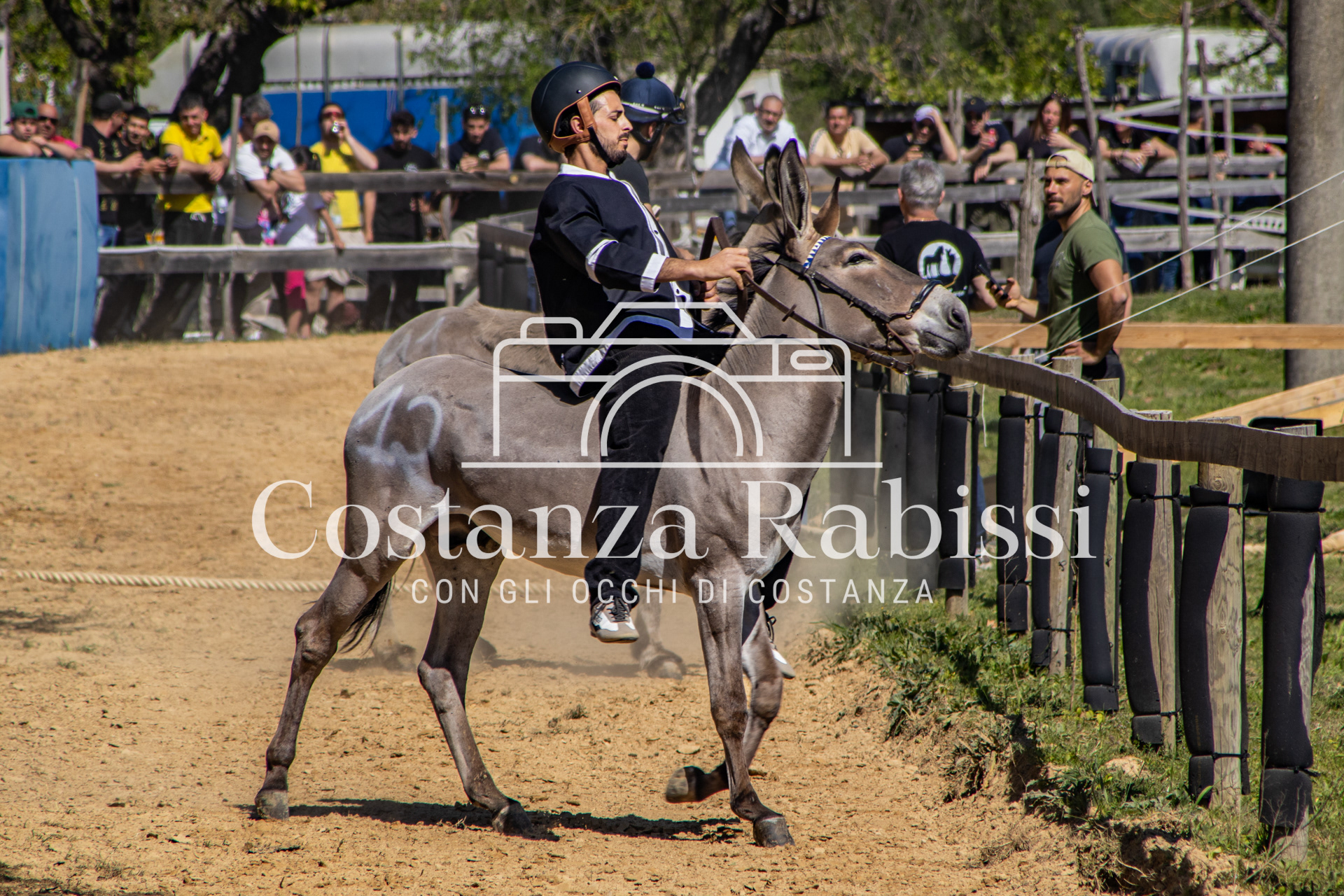 Meeting on the hills - 82