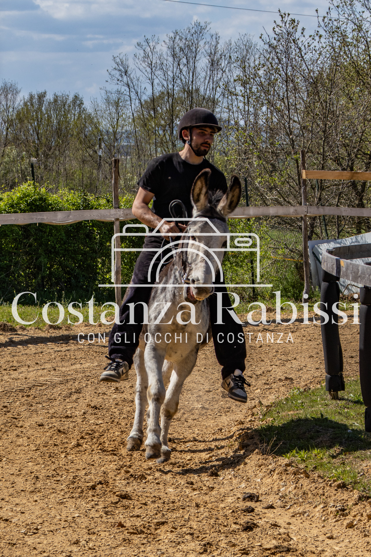 Meeting on the hills - 146