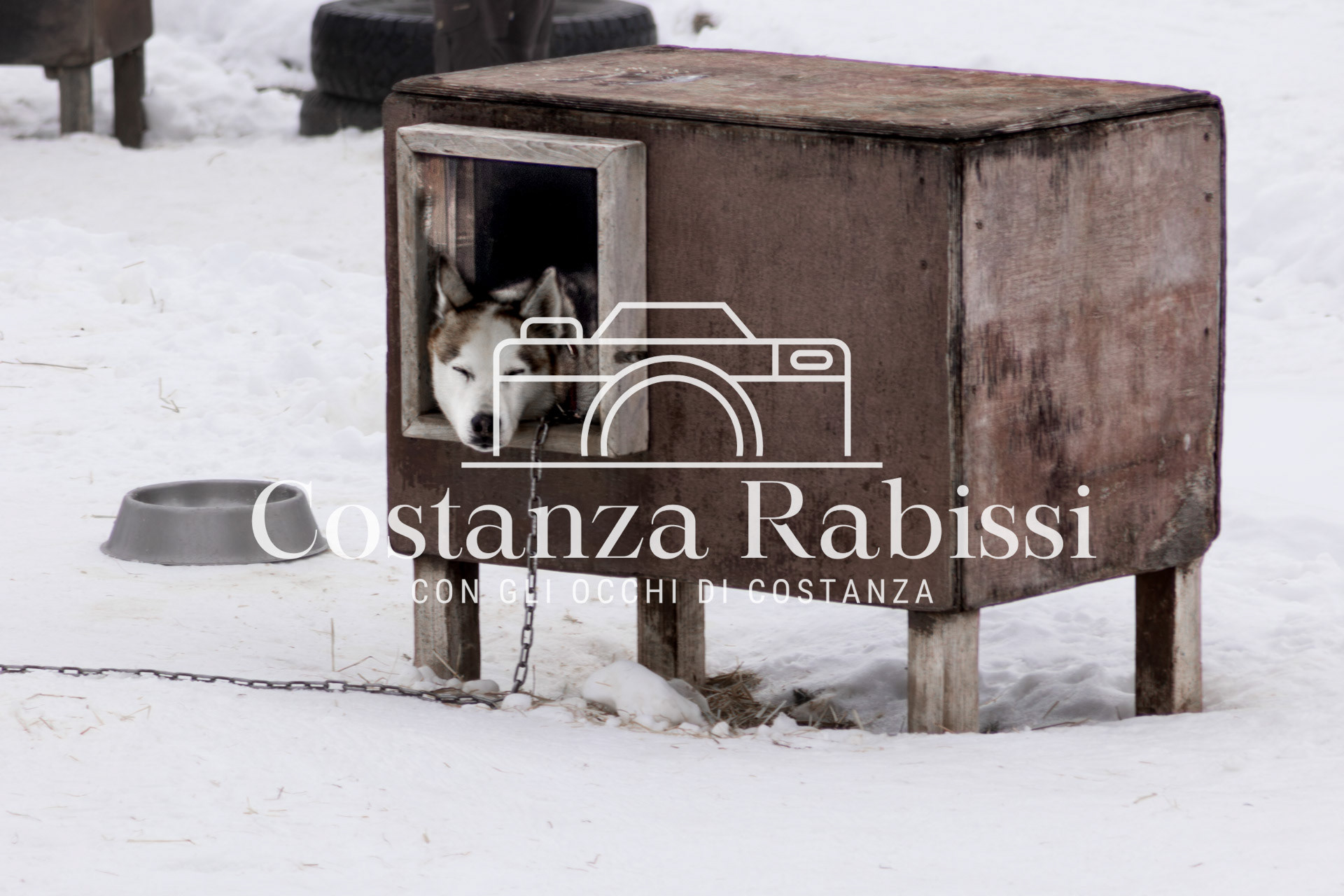 Passo del Tonale - 65
