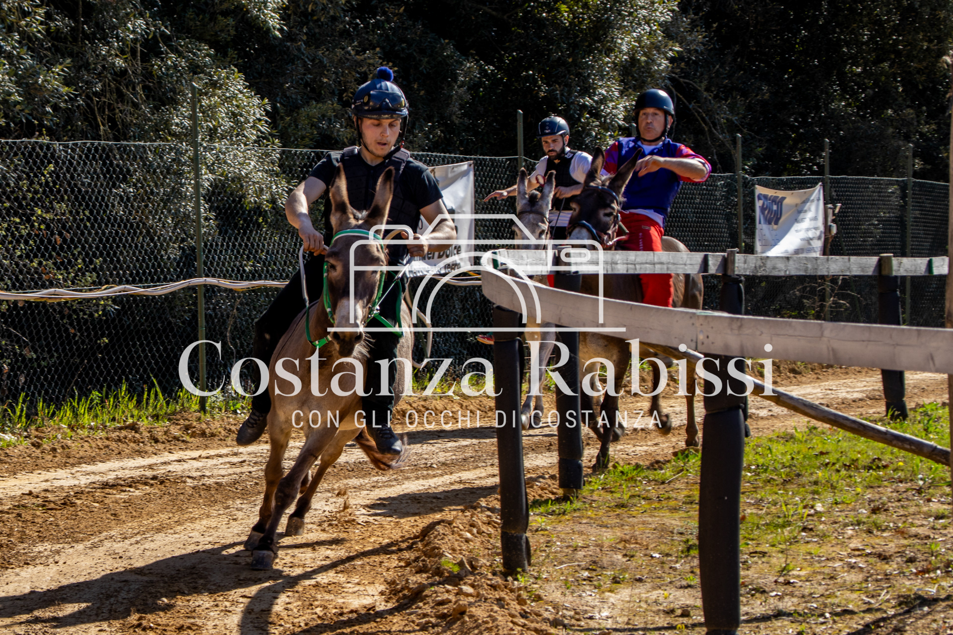 Meeting on the hills - 210