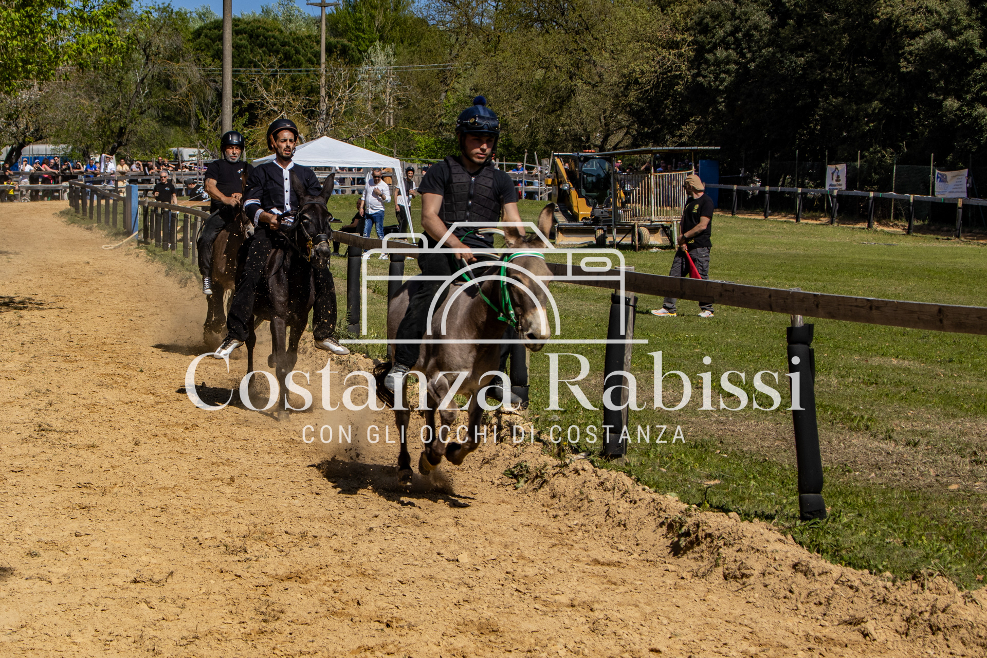 Meeting on the hills - 129