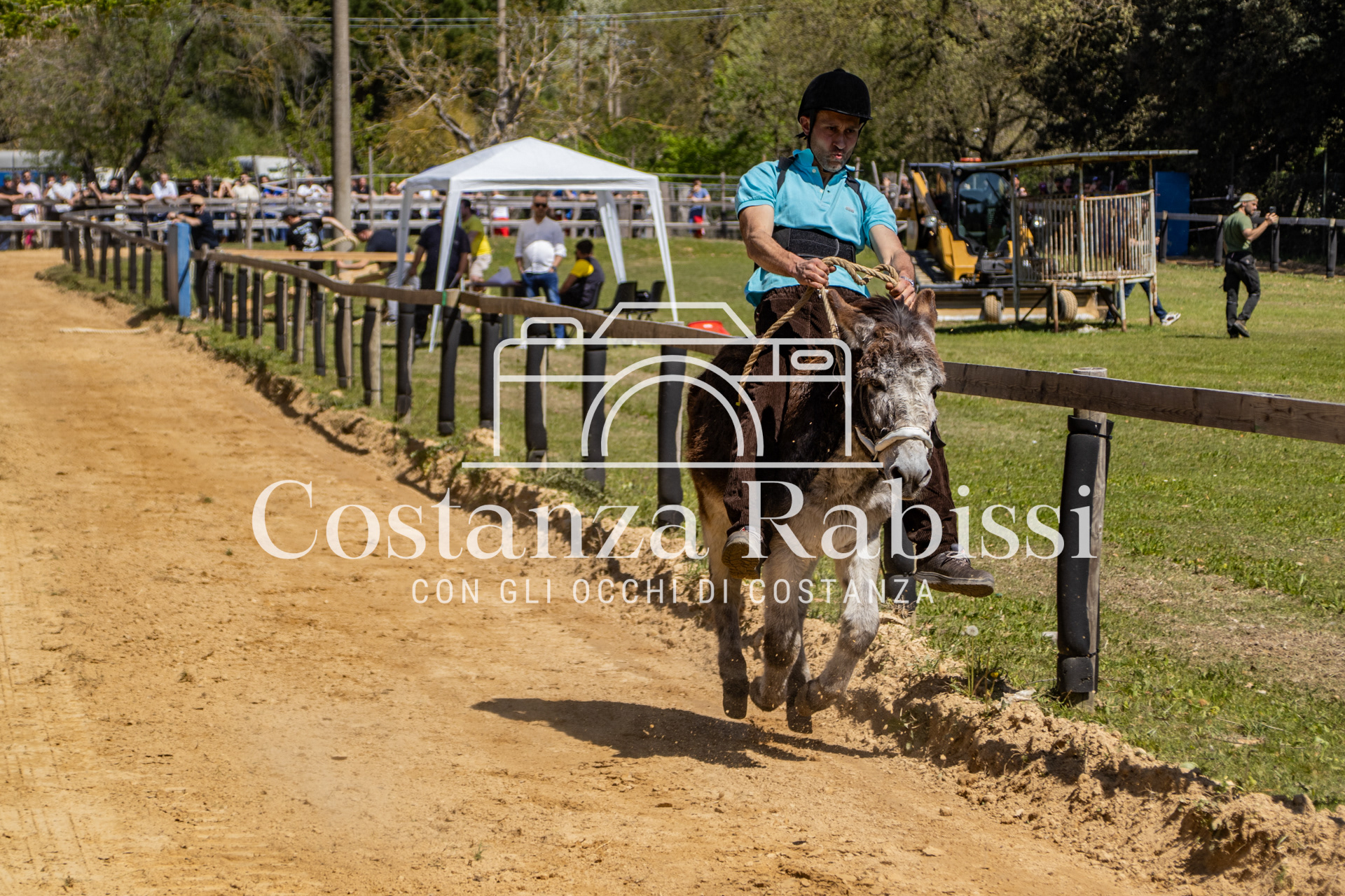 Meeting on the hills - 33