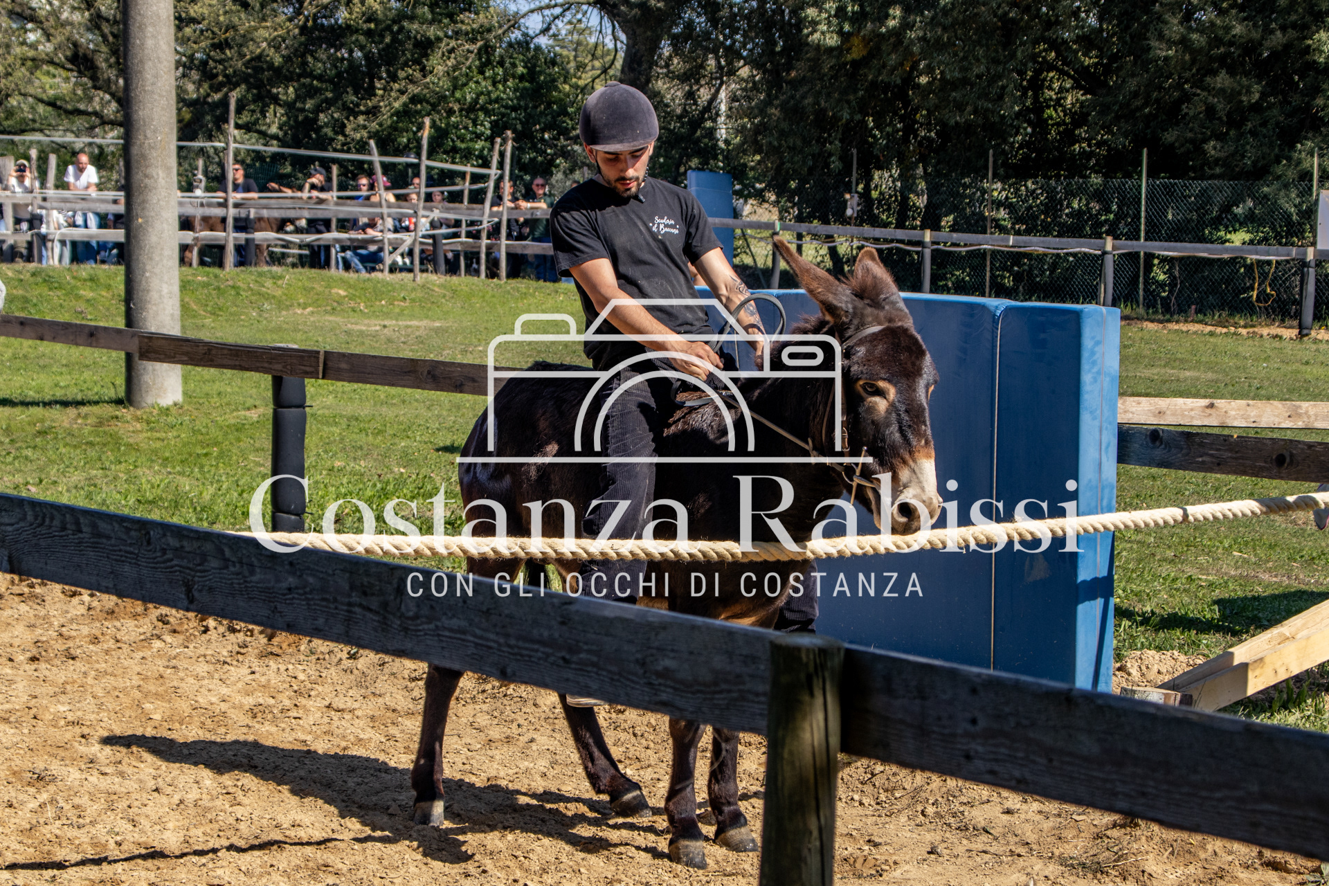 Meeting on the hills - 174